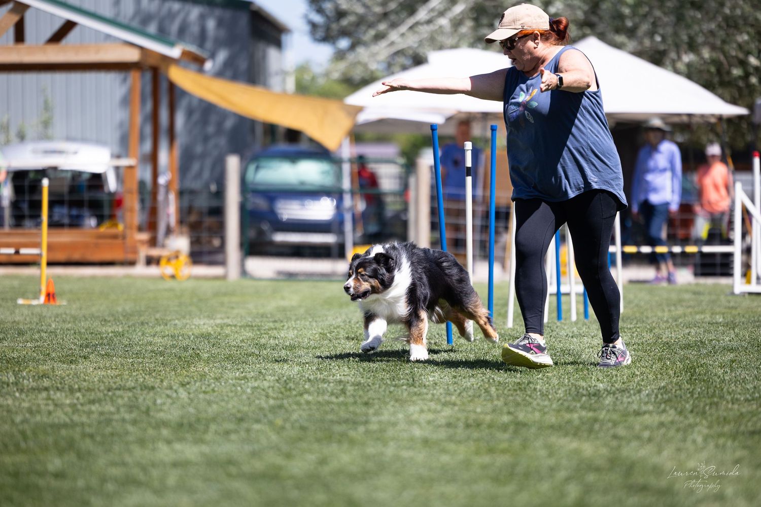 Dog running through agility course with blue poles on grass field.