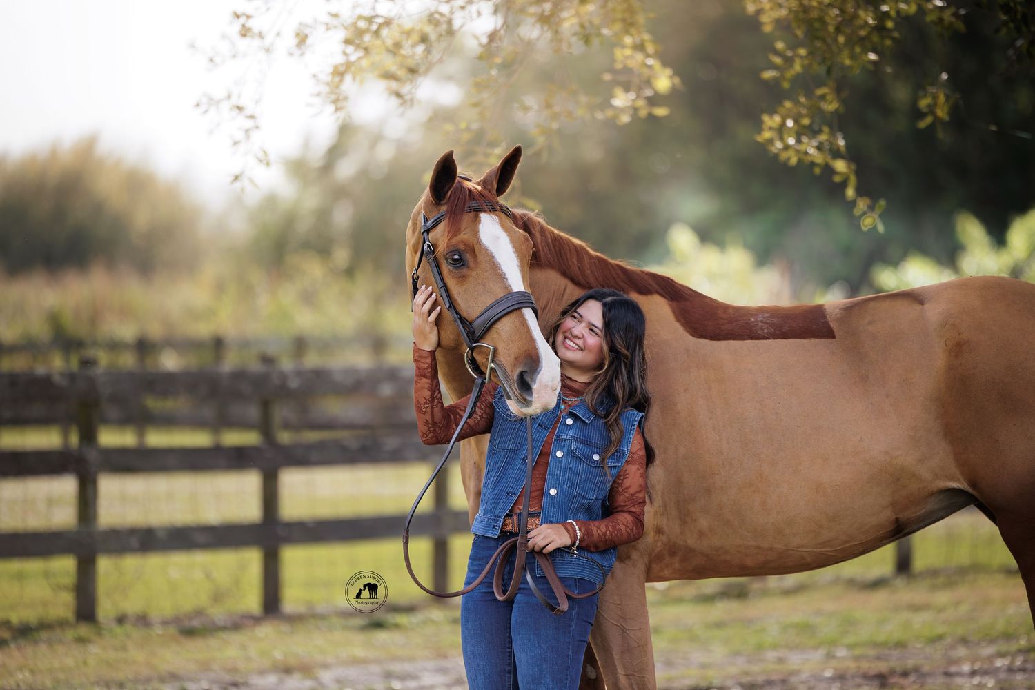 A chestnut horse with white markings stands in a fenced pasture during golden hour.