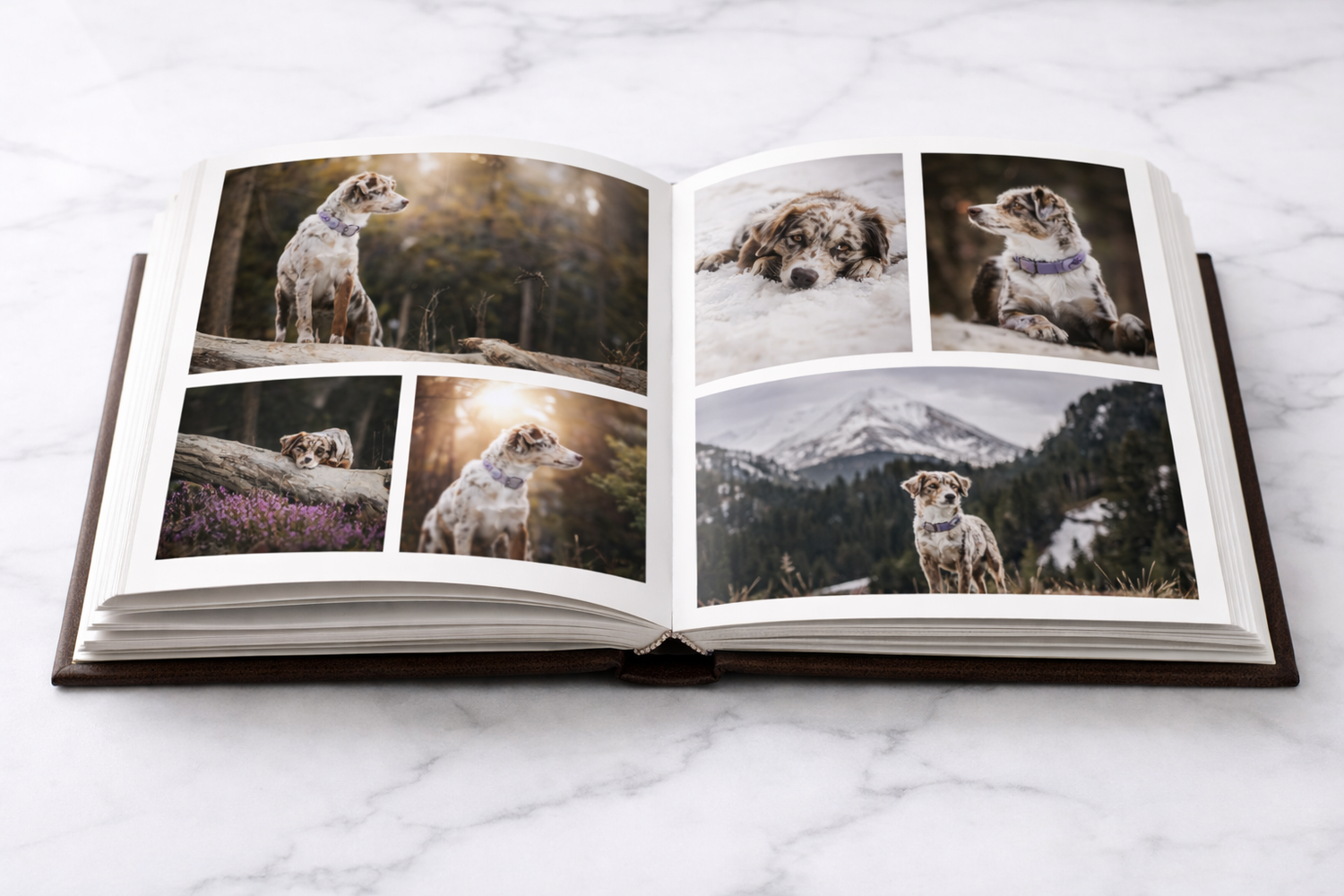 An open photography book displaying artistic wildlife images of wolves lies on a white marble surface.