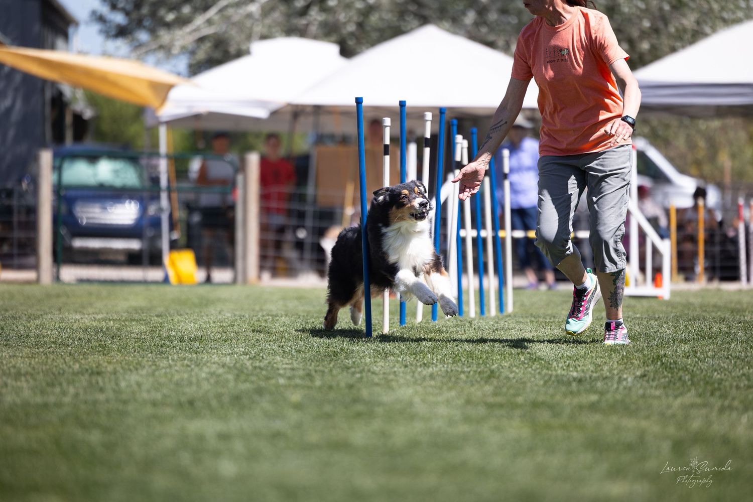 Outdoor dog agility competition course with various obstacles and spectators.