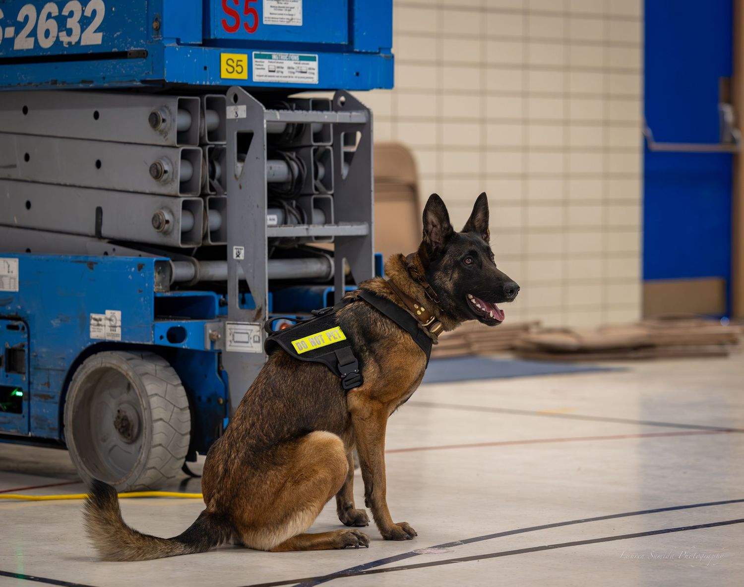 Working dog in training inspects blue industrial equipment in a facility.