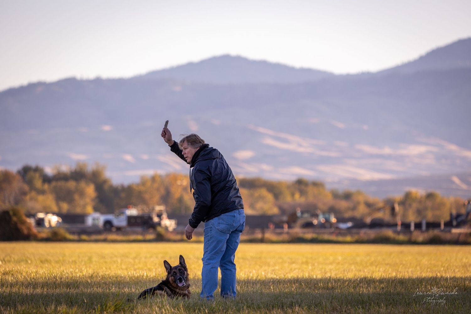 Canine obedience training exercises being conducted in a rural field at sunset.