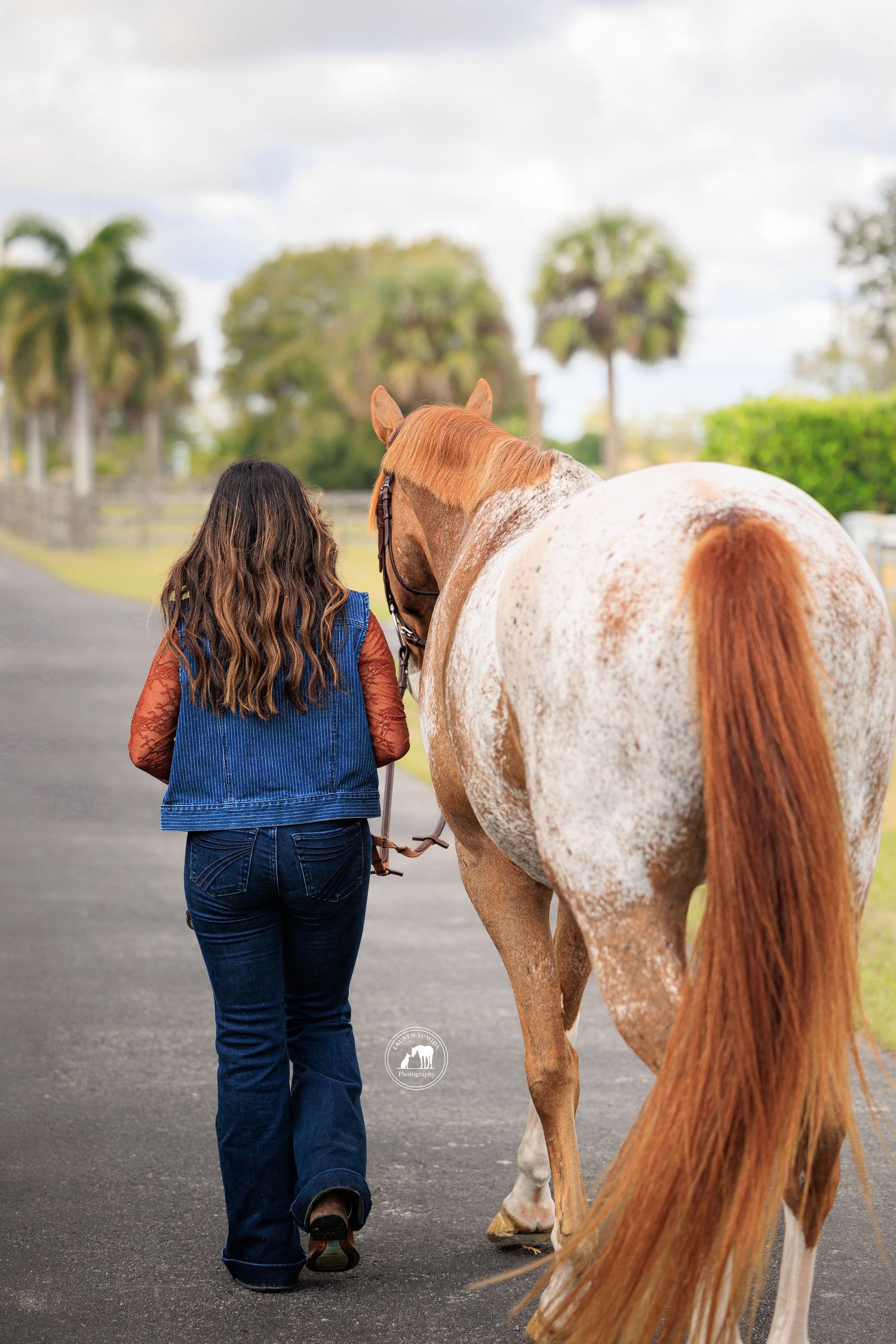 Woman in a denim vest and jeans walks a chestnut and white appaloosa horse down a paved path lined with palm trees.