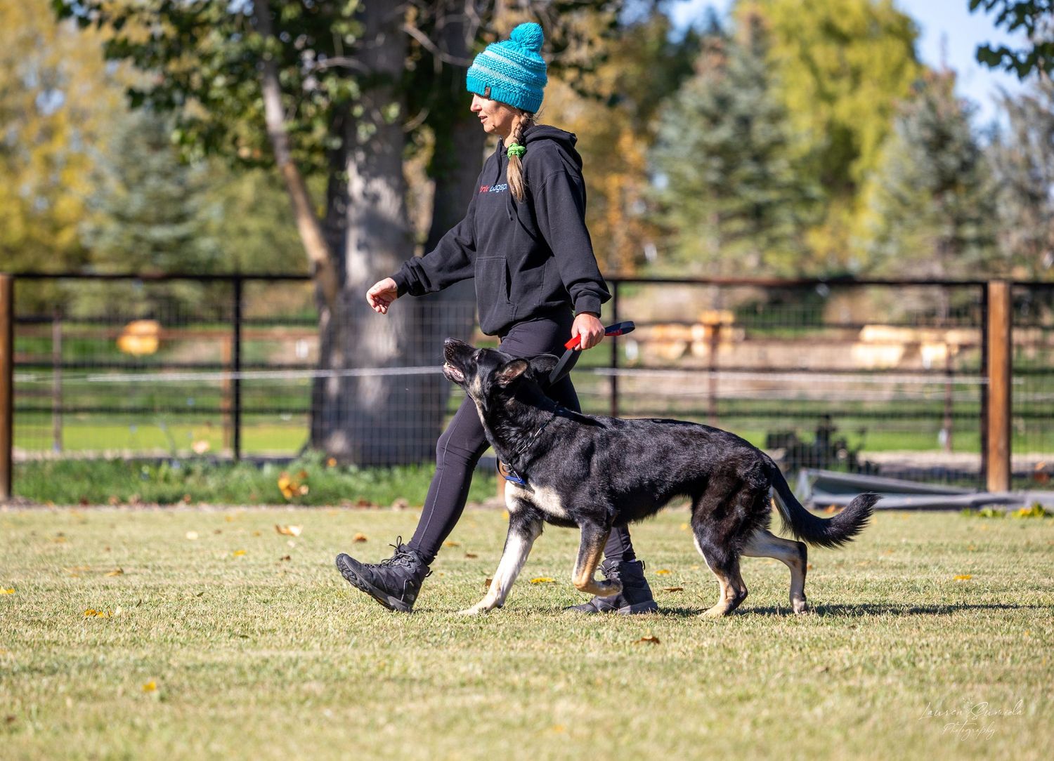 Working dog and handler practicing heeling exercises in fenced training area.