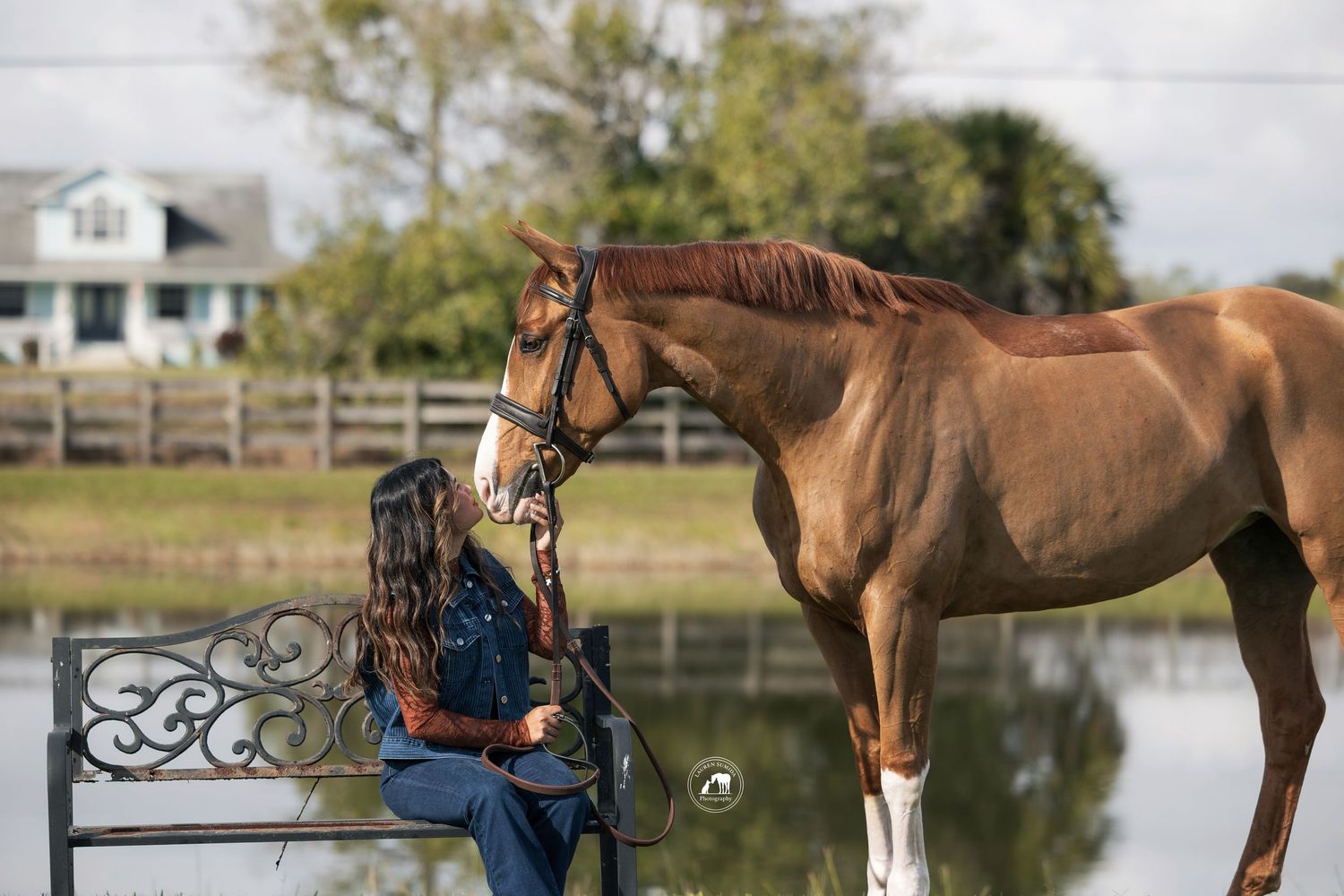 A chestnut horse stands near a pond with wooden fencing in the background.