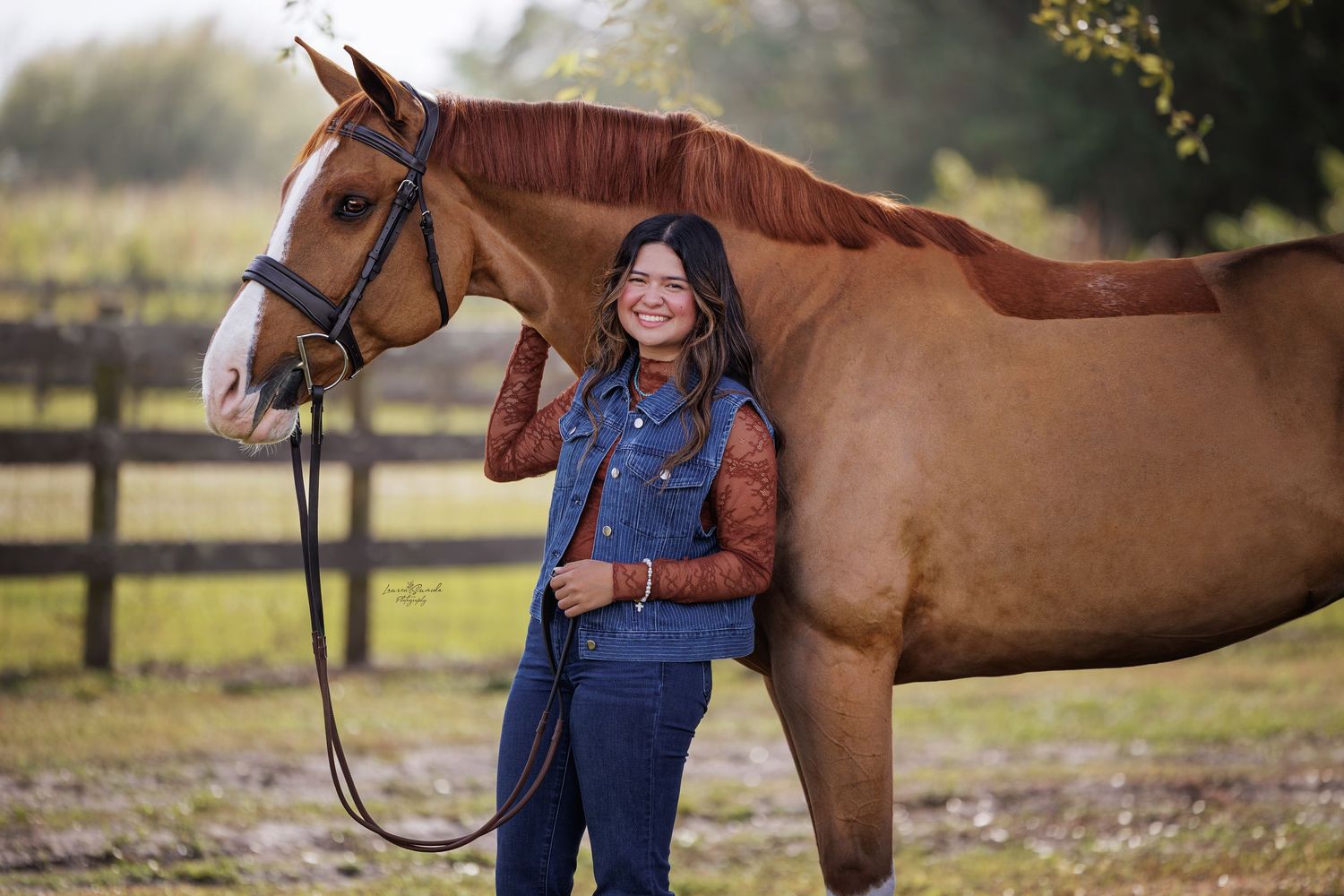 A chestnut horse stands in a grassy field on a sunny autumn day.