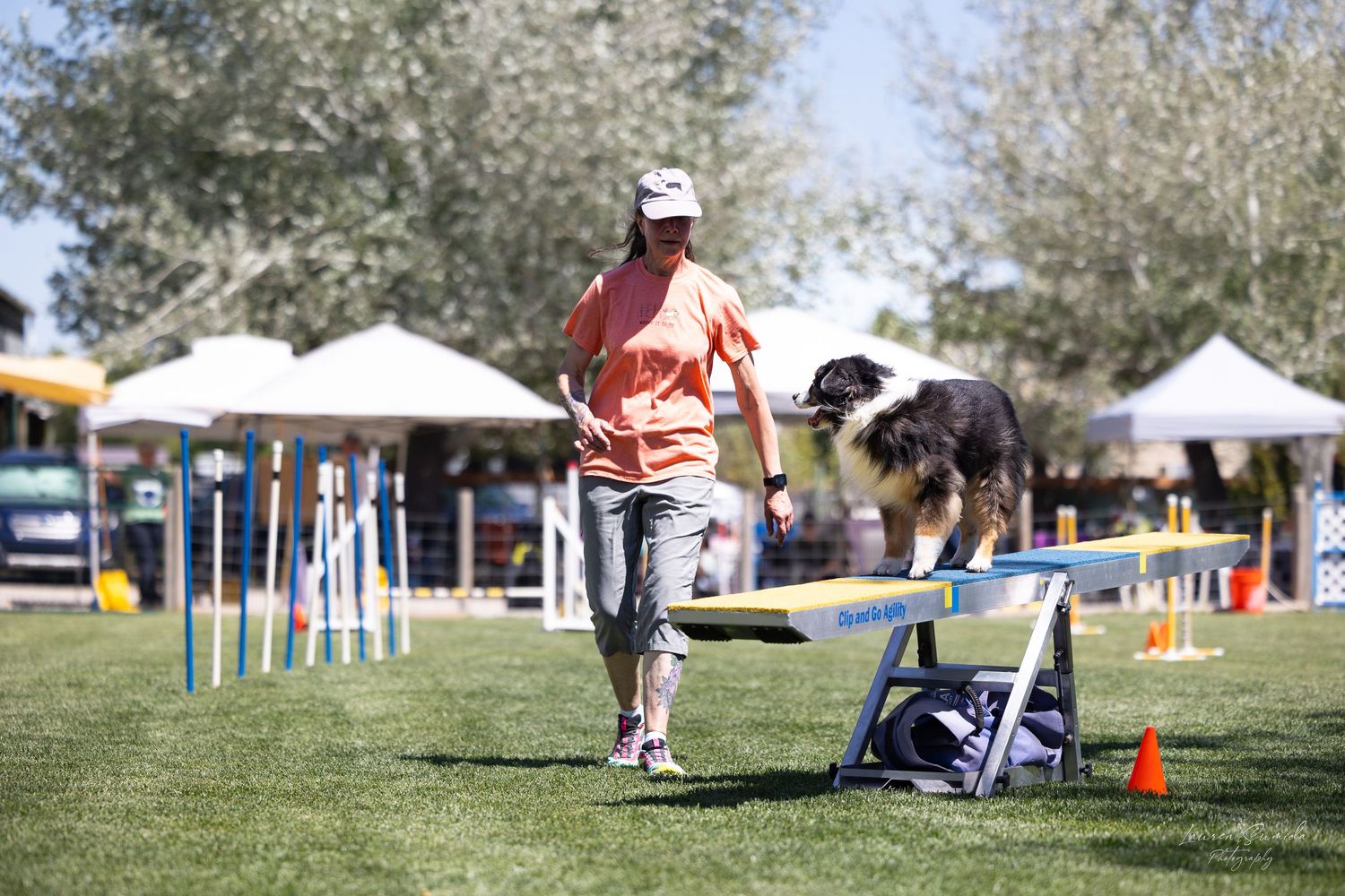 Dog and handler practicing agility training on outdoor course with weave poles and obstacles.