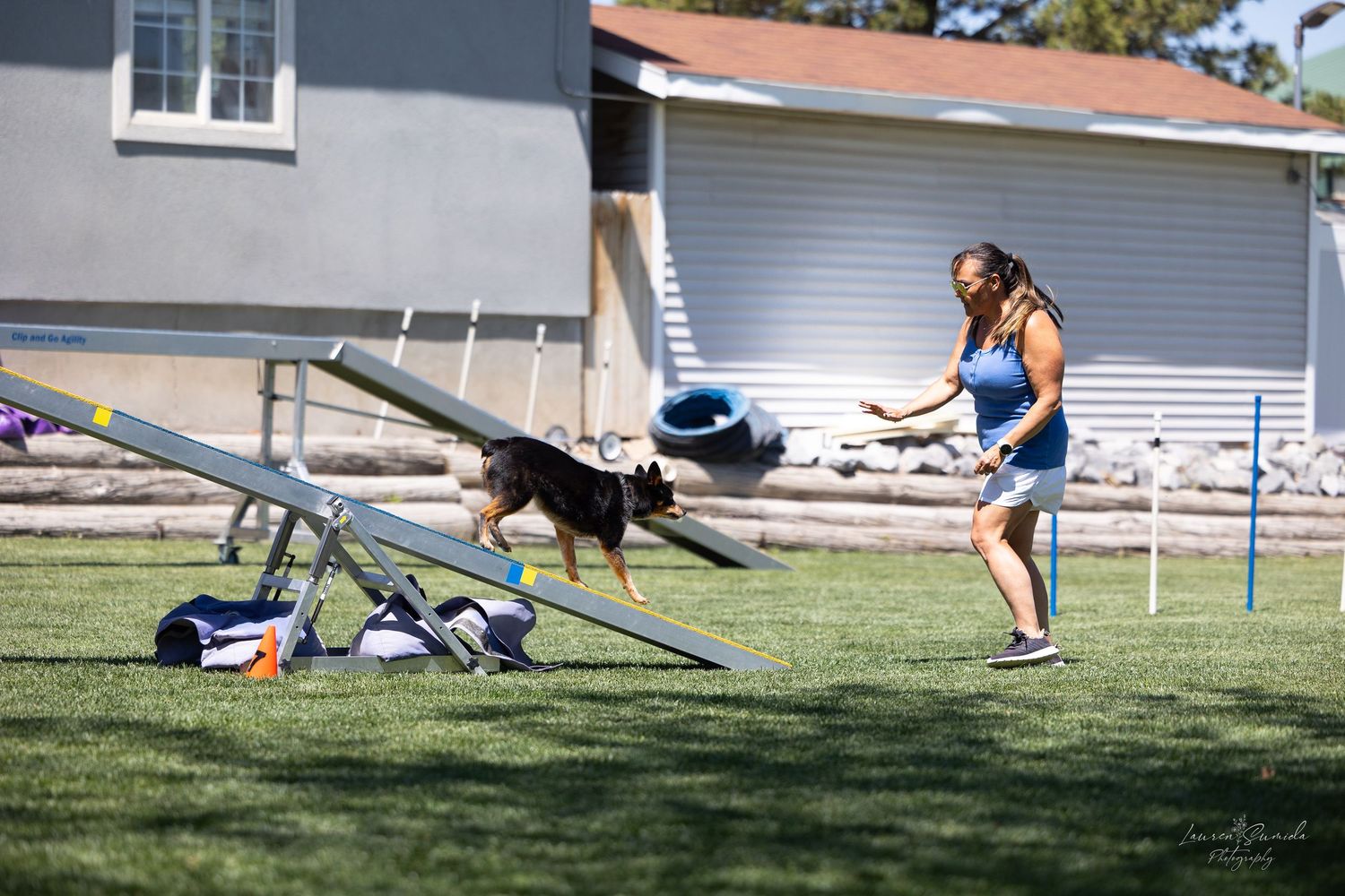 Dog performing on seesaw equipment during agility training on grass field.