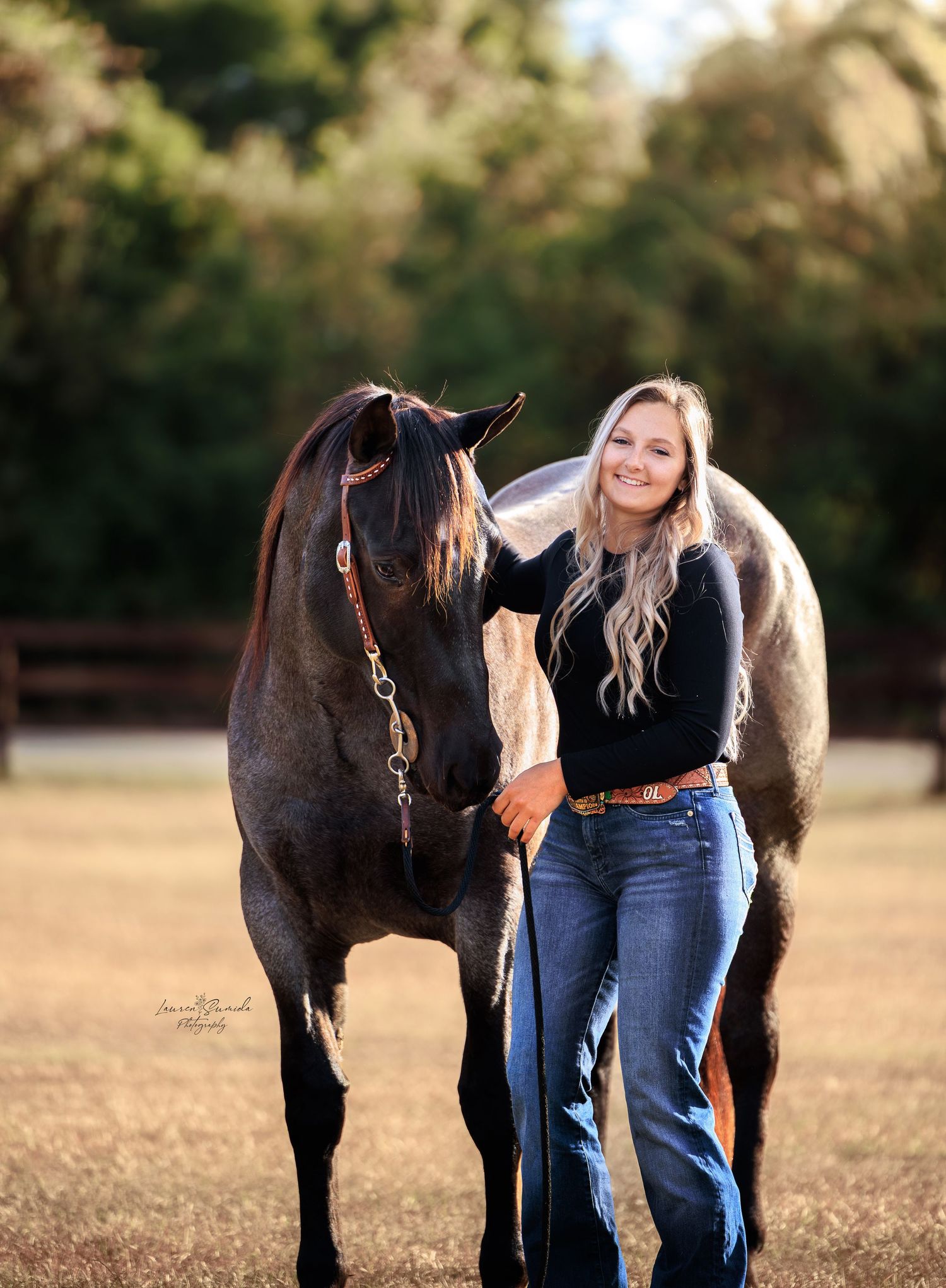 Dark colored horses standing together in a sunny field with natural lighting.