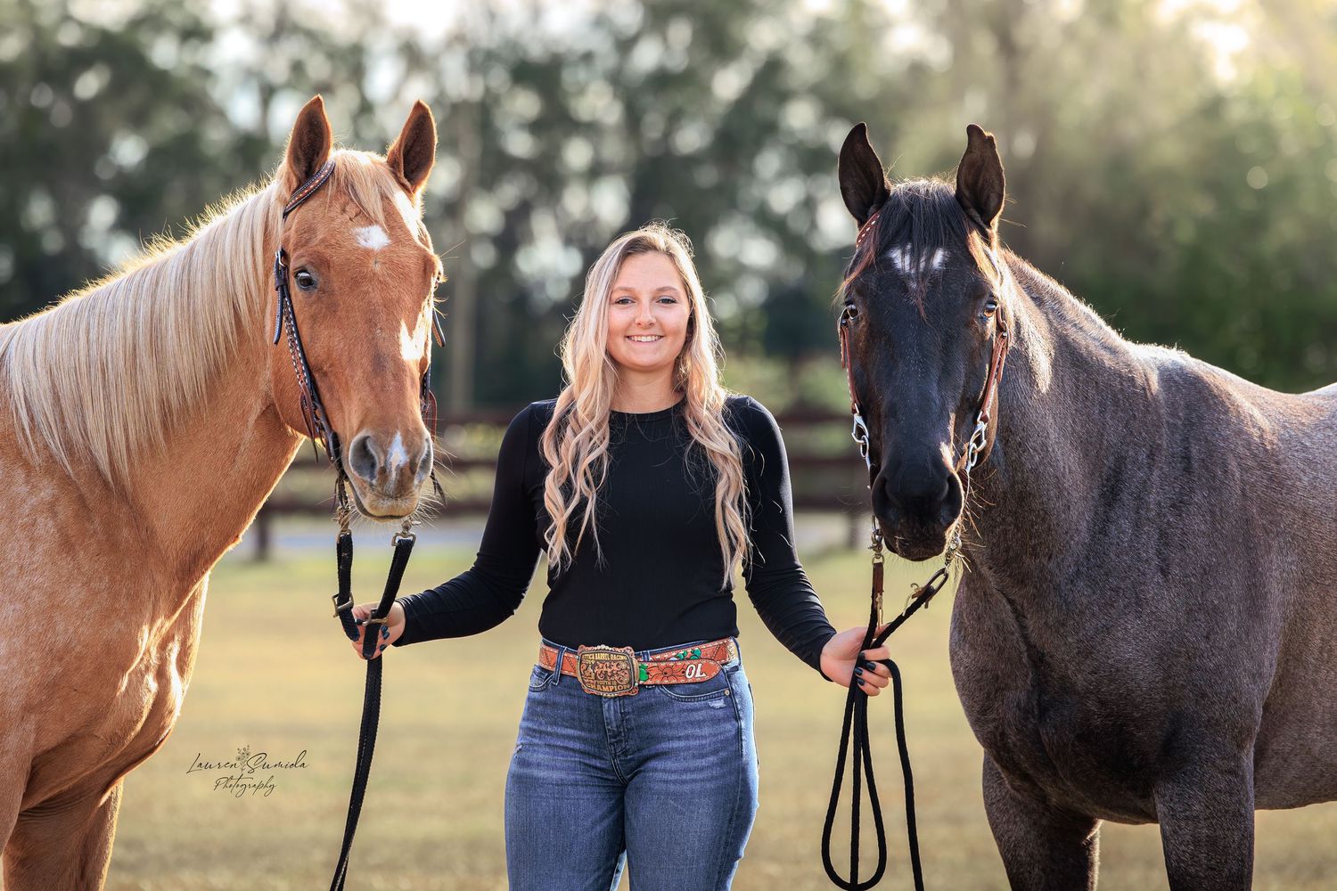 Group of horses standing together in pasture during golden hour.