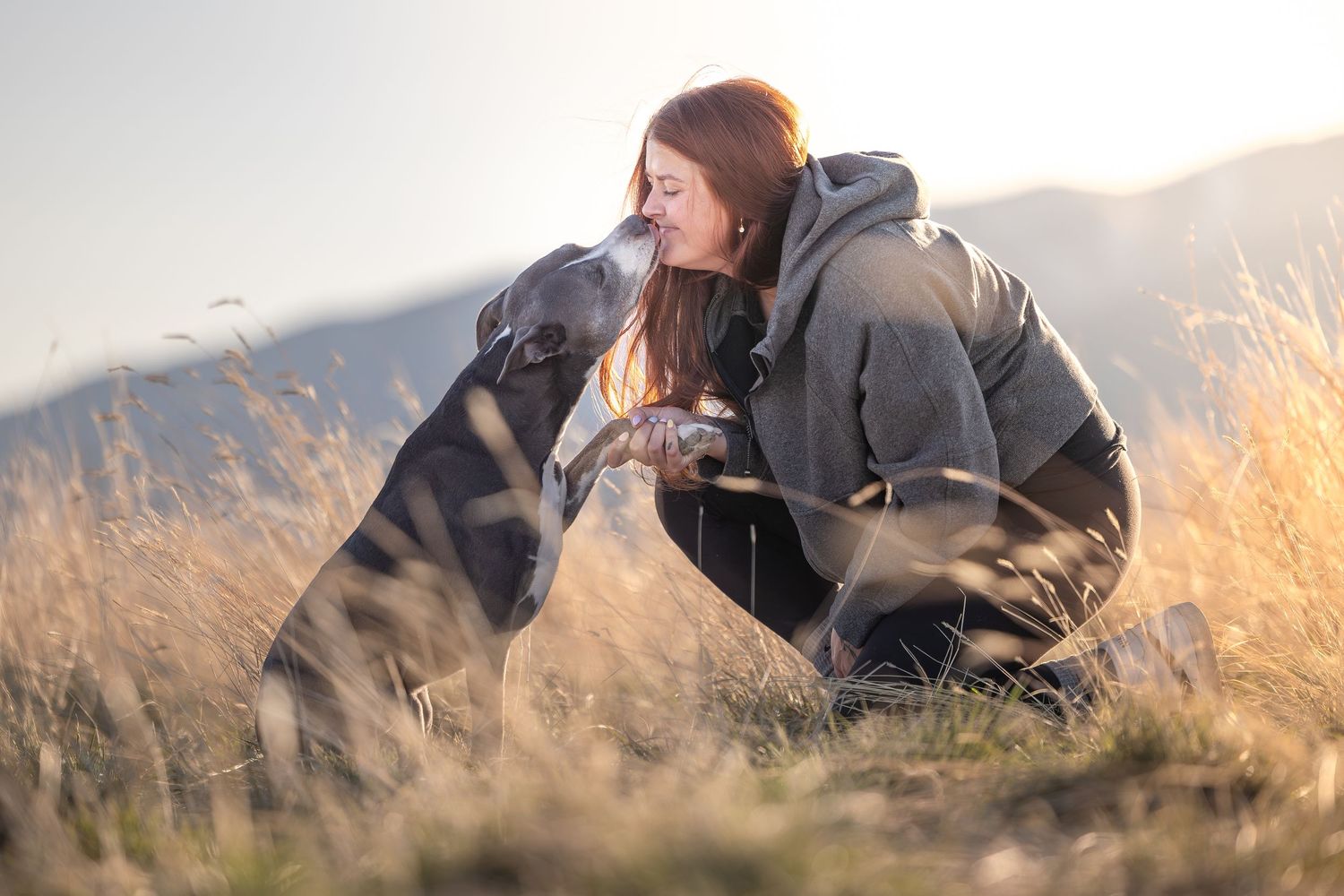 A dog and their companion share a peaceful moment in a sunlit meadow.