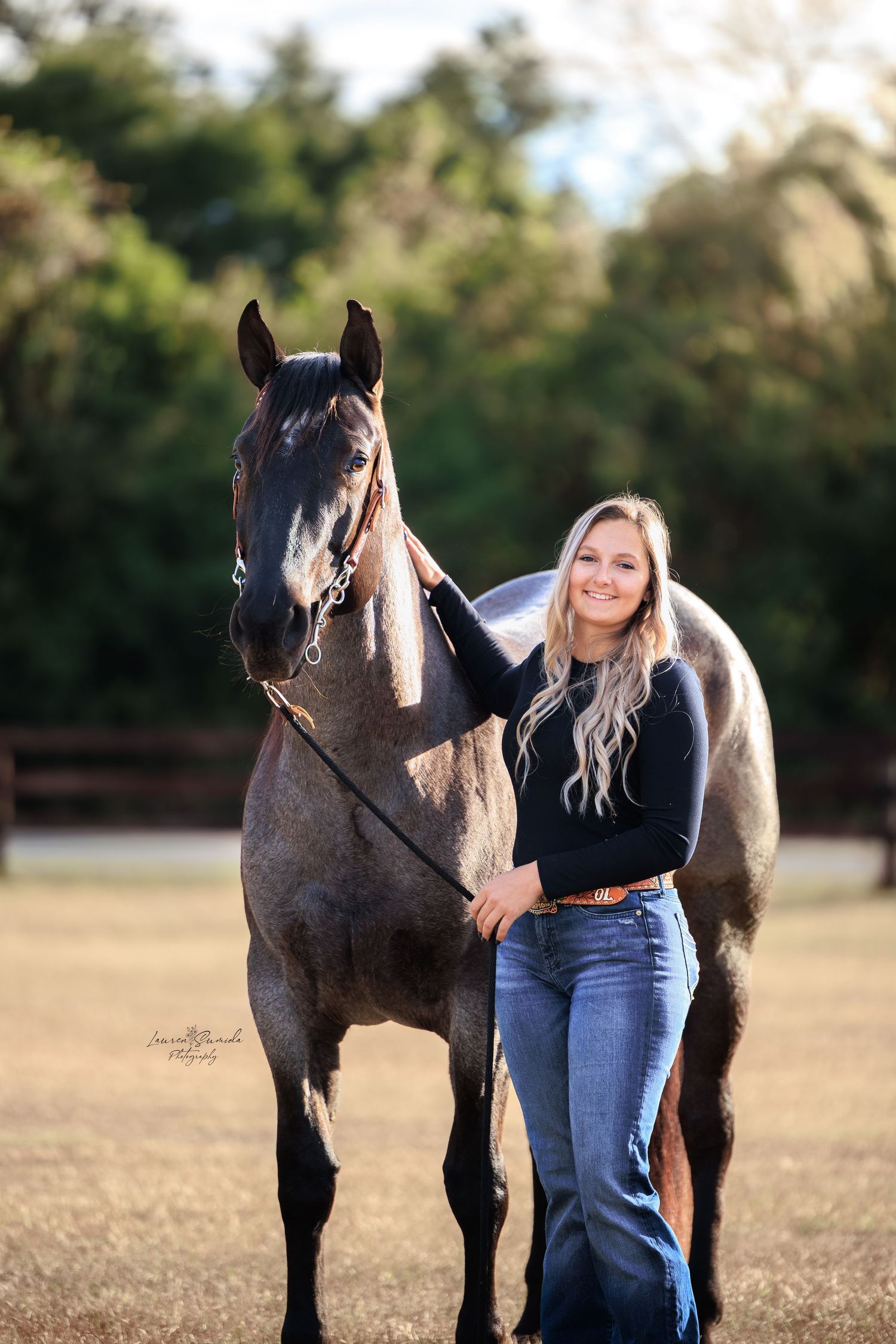 Dark horse stands in an open field during golden hour with natural lighting.
