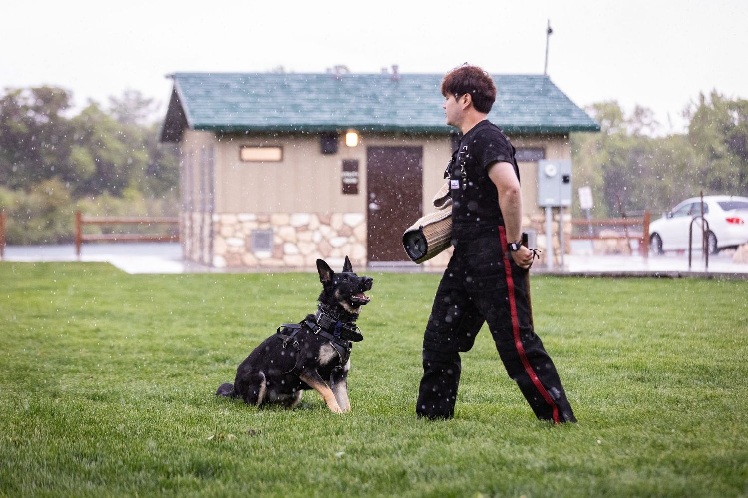 Handler works with black dog on obedience training near small building.