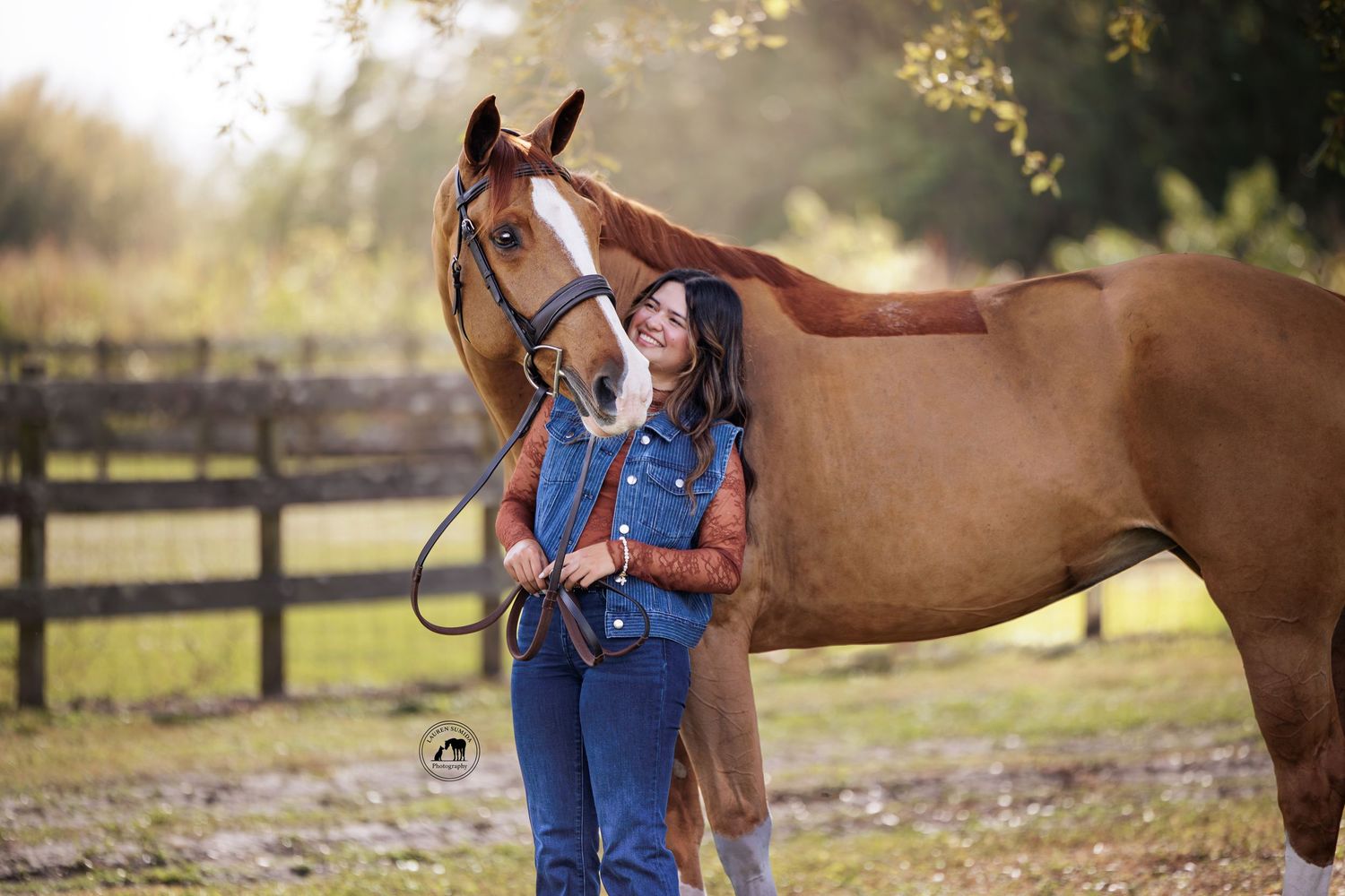 A chestnut horse with white markings stands in a fenced pasture during golden hour.