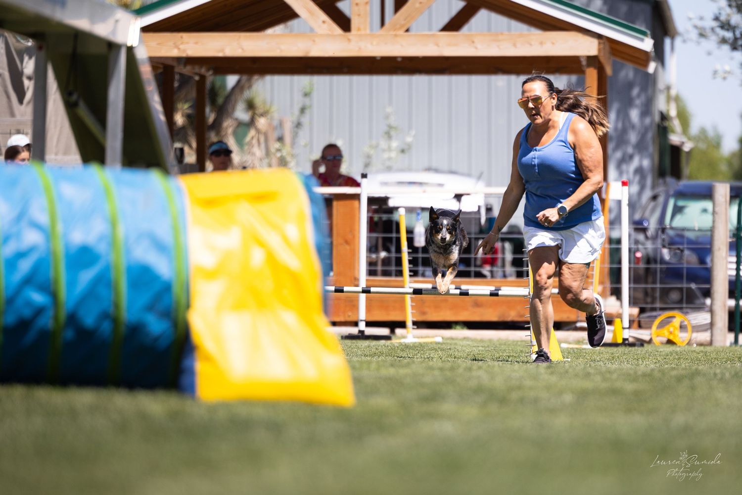 Outdoor dog agility course with colorful barriers and equipment set up for competition.