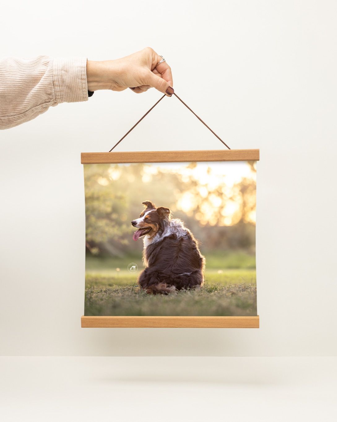 Wooden magnetic photo hanger displays a scenic photograph of a dog sitting in a grassy field at sunset.