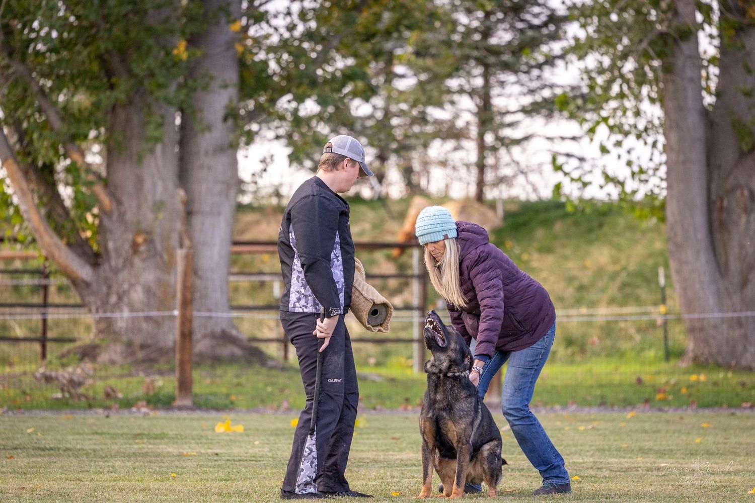 Dog training class practicing commands in a grassy outdoor area with trees.