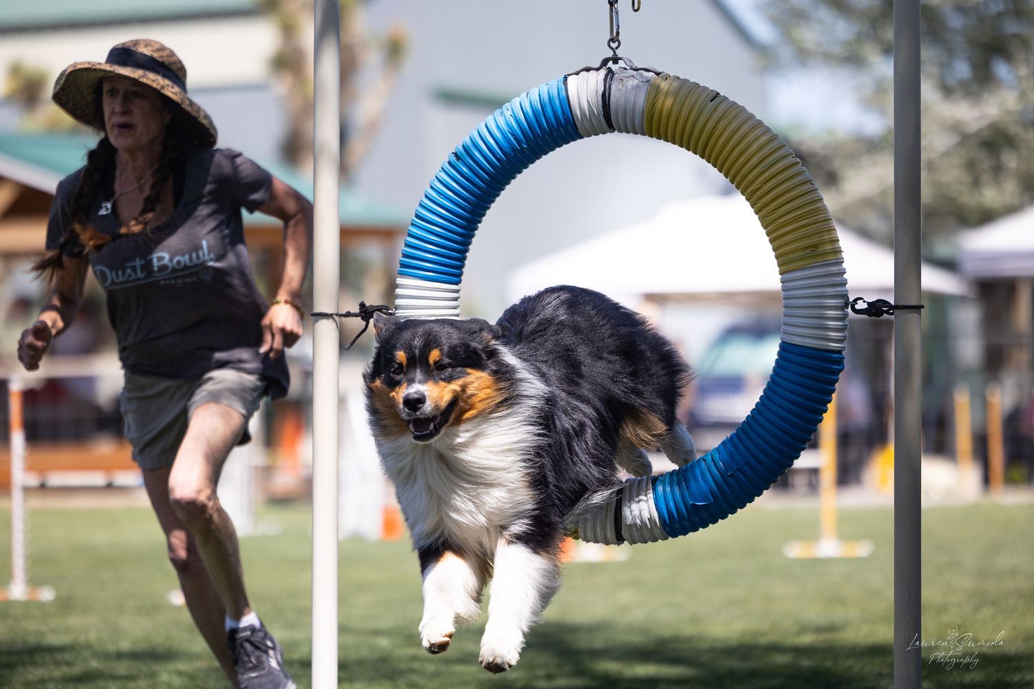 Dog maneuvering through tunnel and agility equipment during outdoor competition.