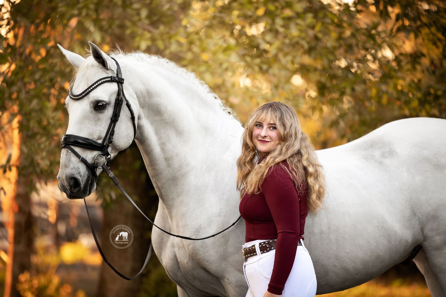 Elegant white horse wearing black bridle posed in autumn scenery.