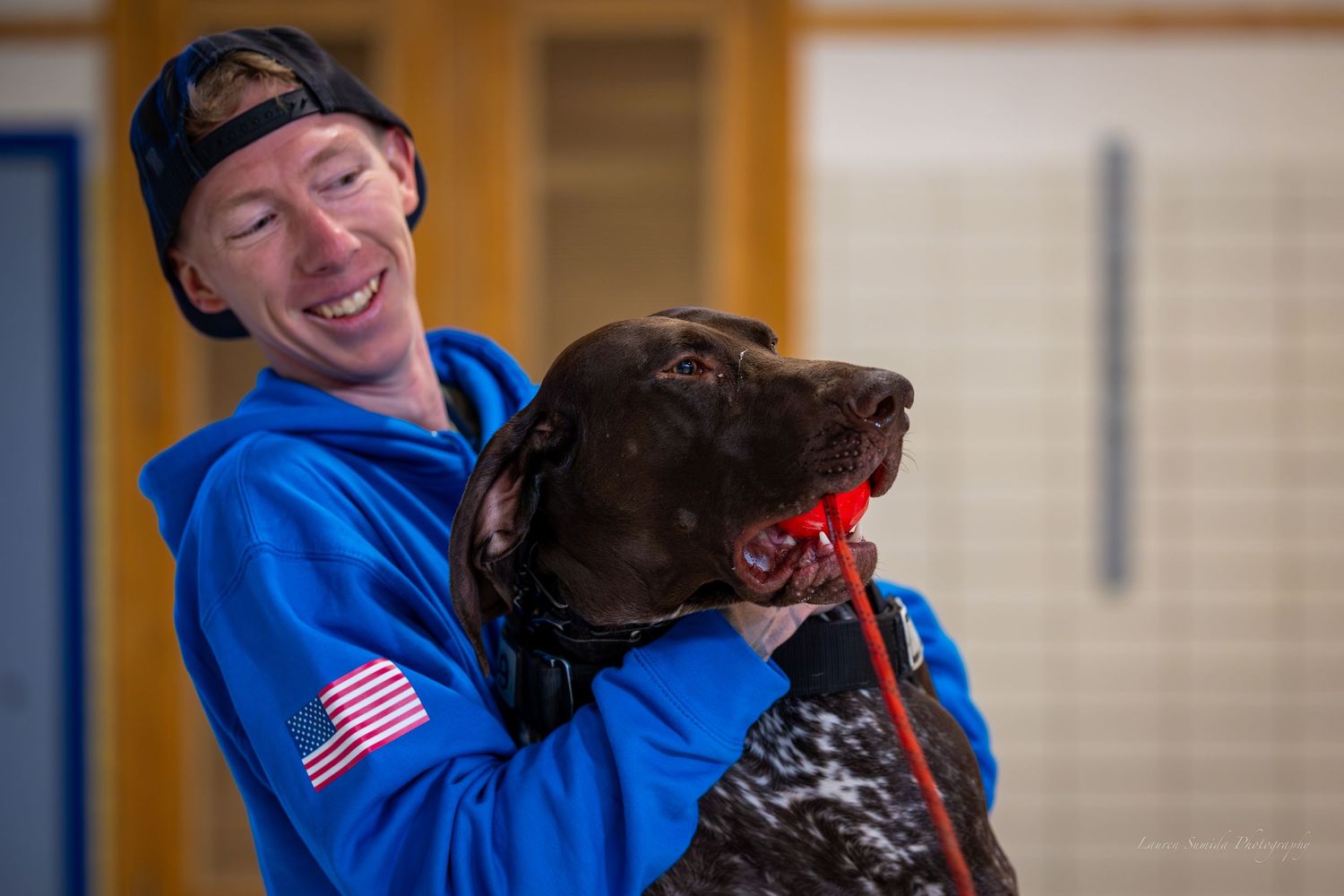 A dark-colored working dog wearing training gear in an indoor facility.