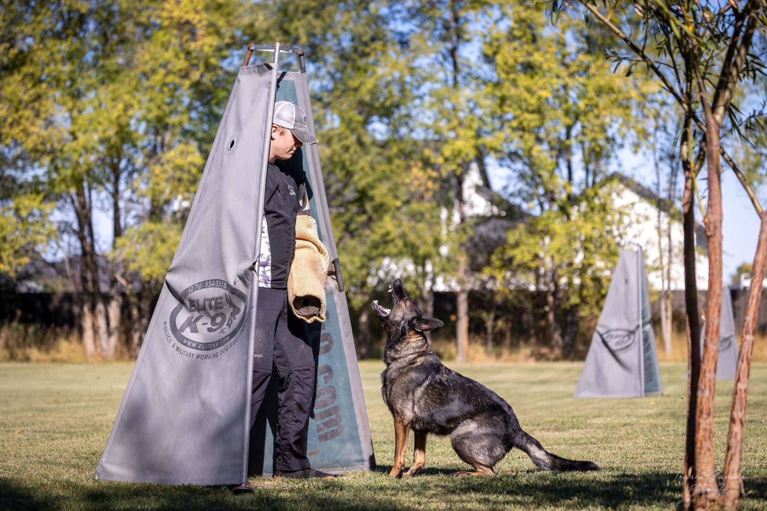 Dog and trainer practicing advanced obedience exercises in autumn field setting.
