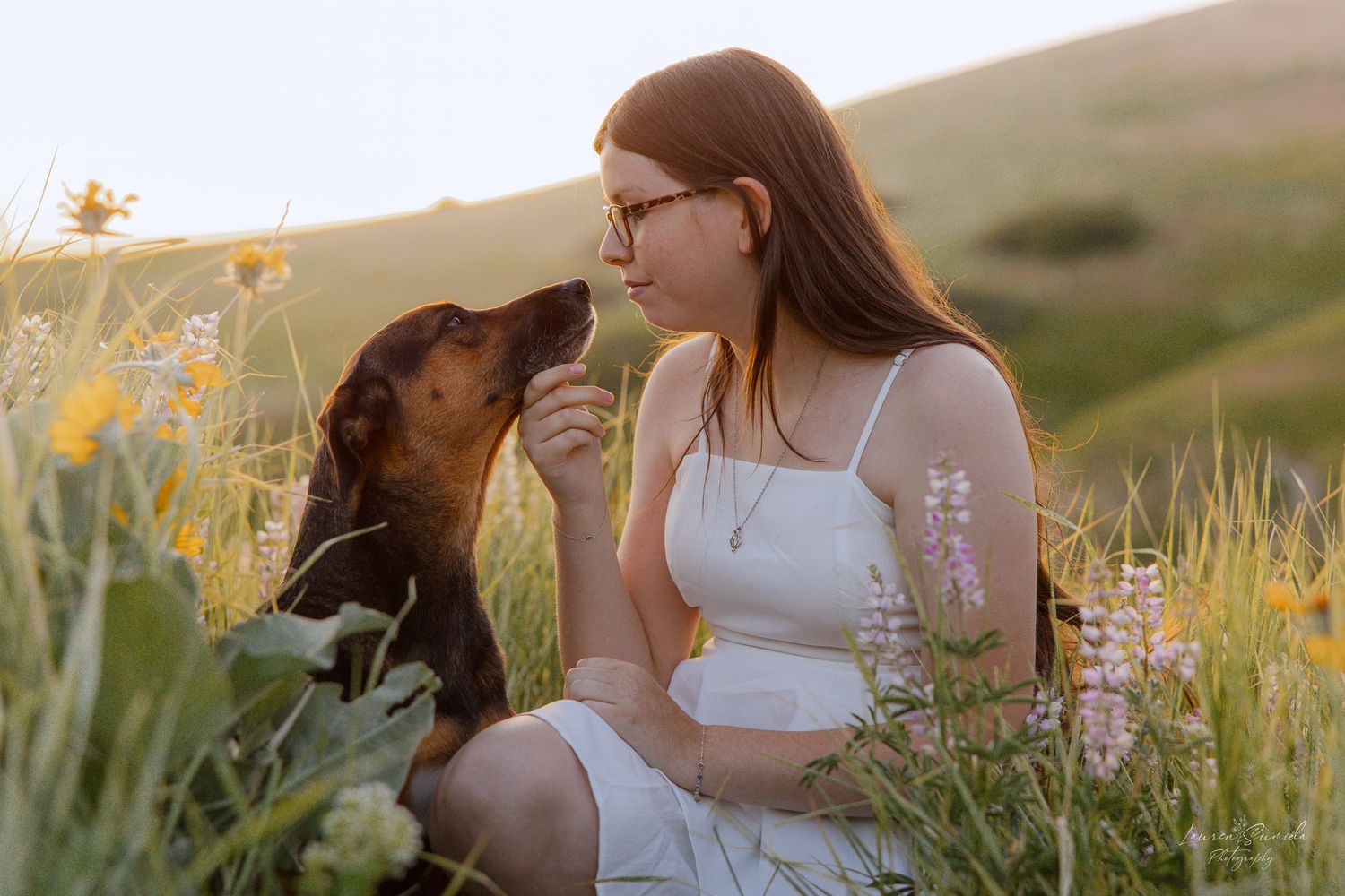 Dogs sitting in a field of tall grass and wildflowers at sunset.