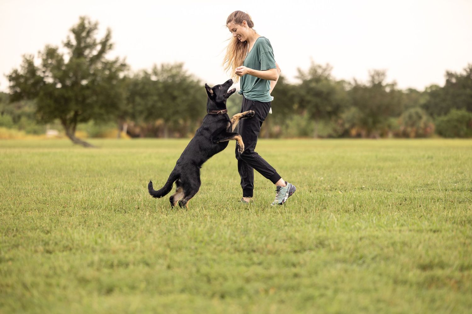 Dog and person running together across a sunlit grassy field.