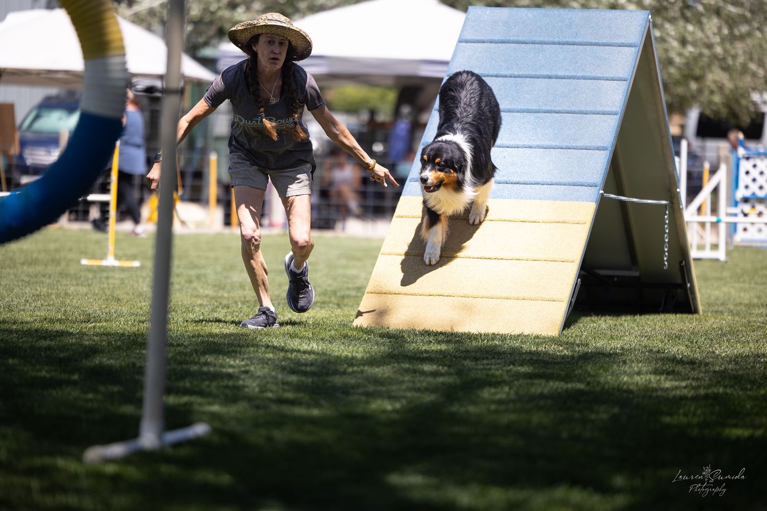 Dog agility course obstacles arranged on grass with equipment in background.