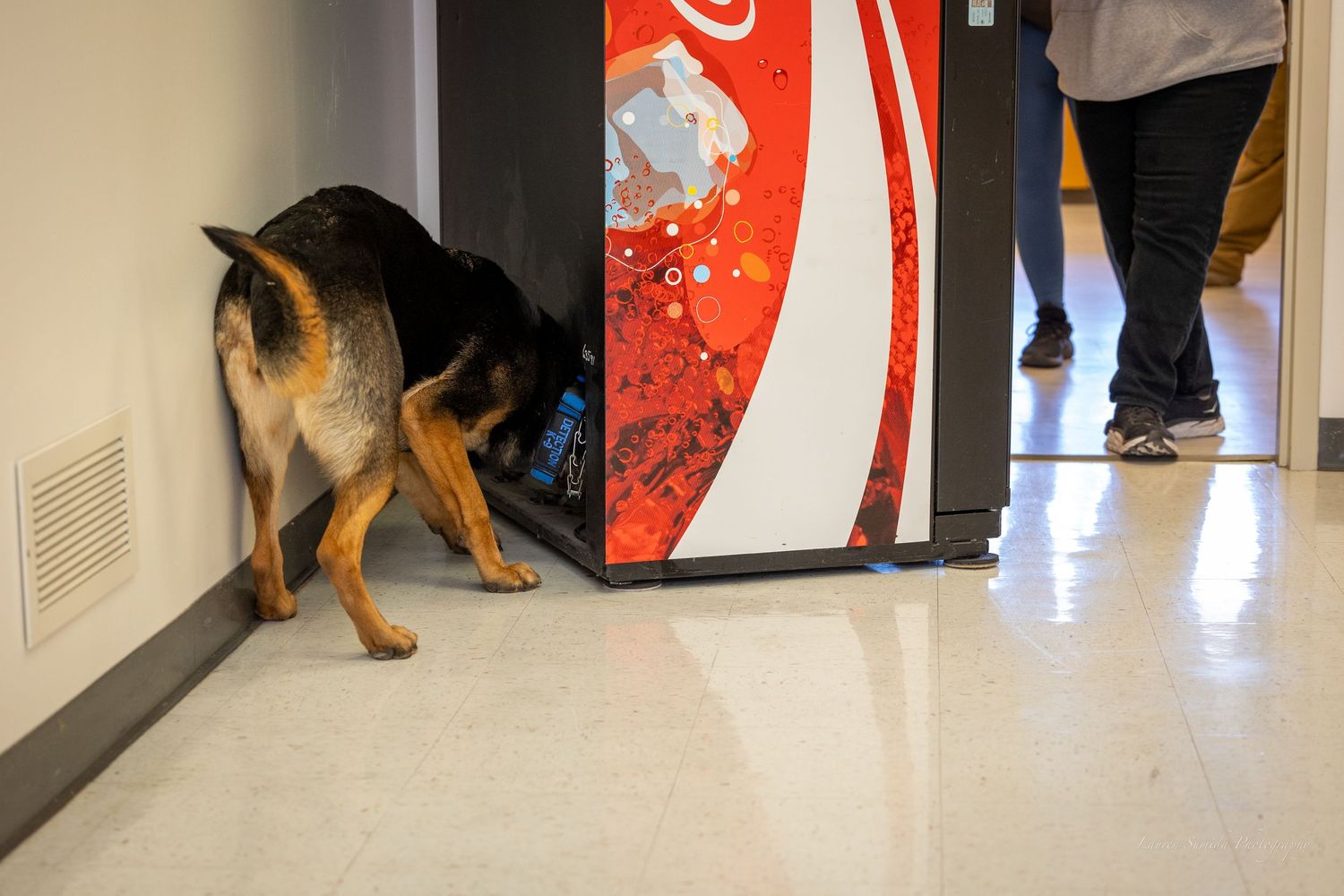 Dogs exploring near a red vending machine in an indoor hallway.