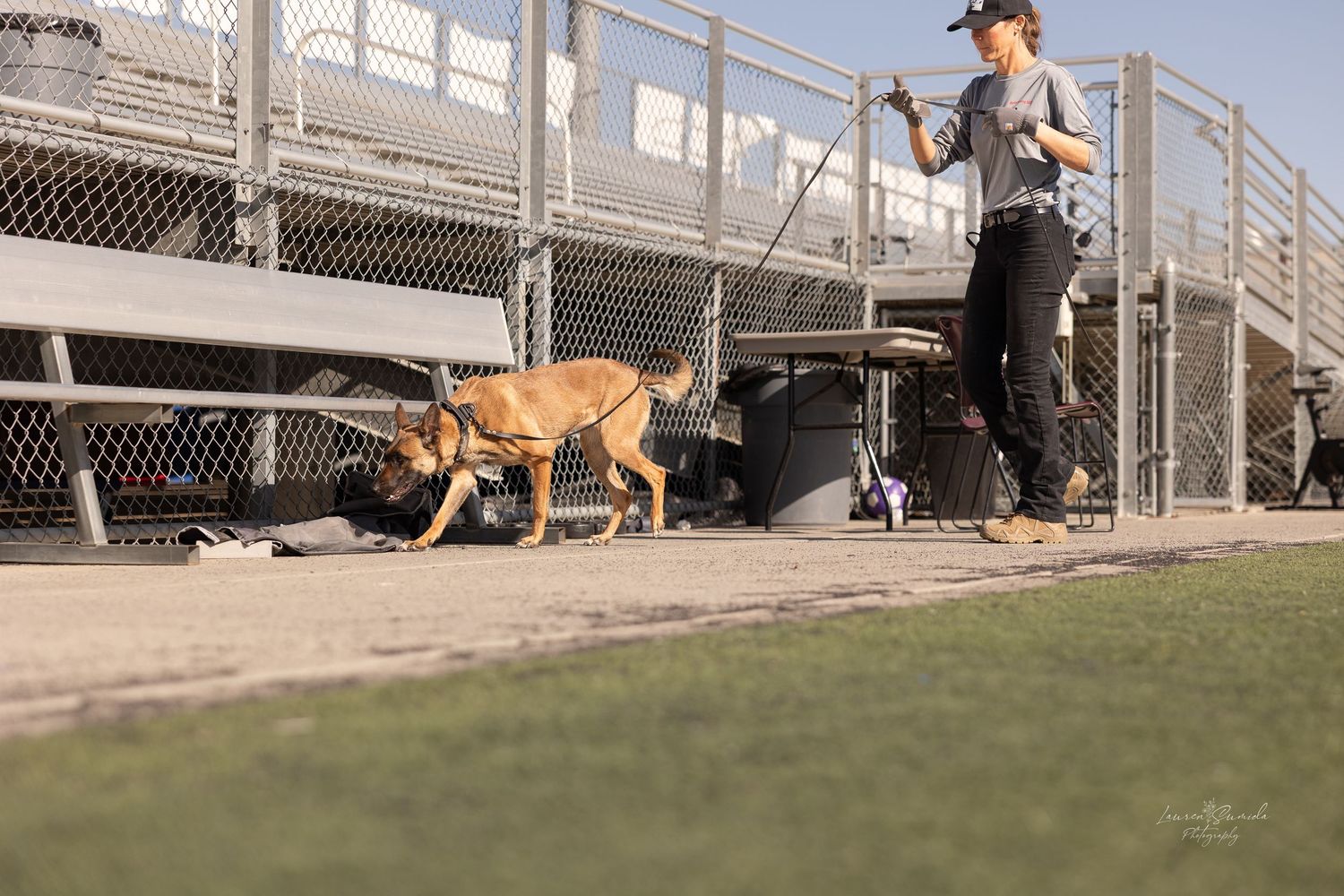 Dogs performing agility exercises near outdoor bleachers and fencing.