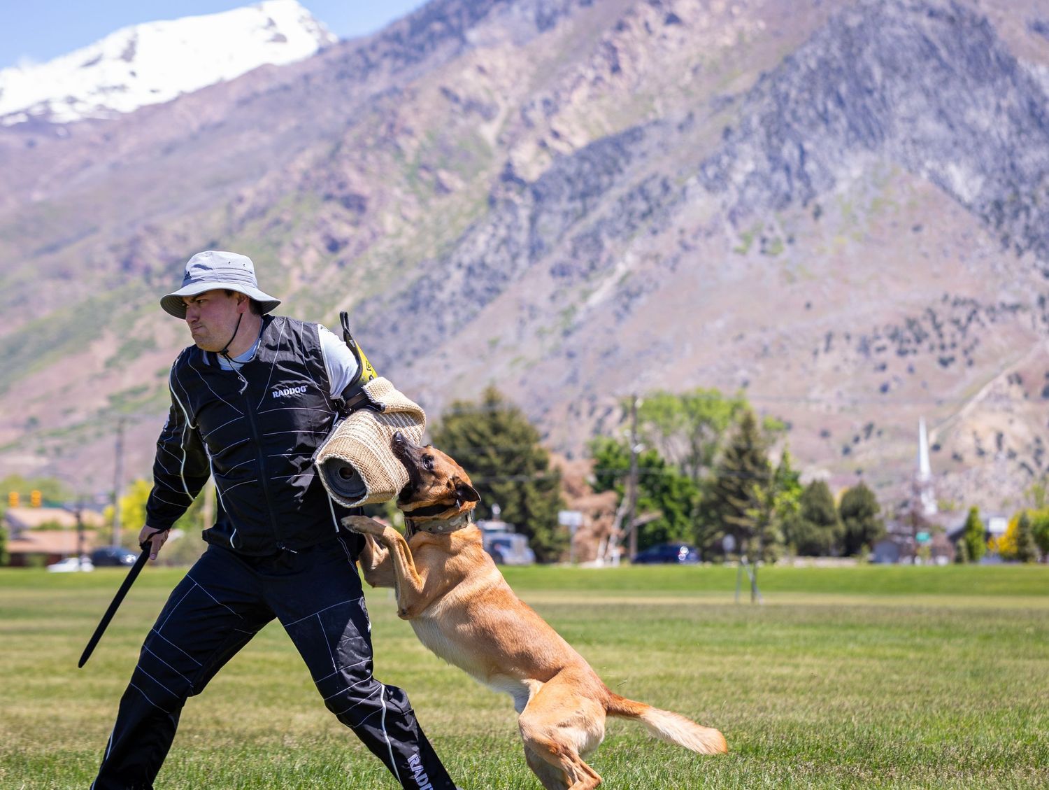 German Shepherd jumping and practicing agility exercises in a mountain valley setting.