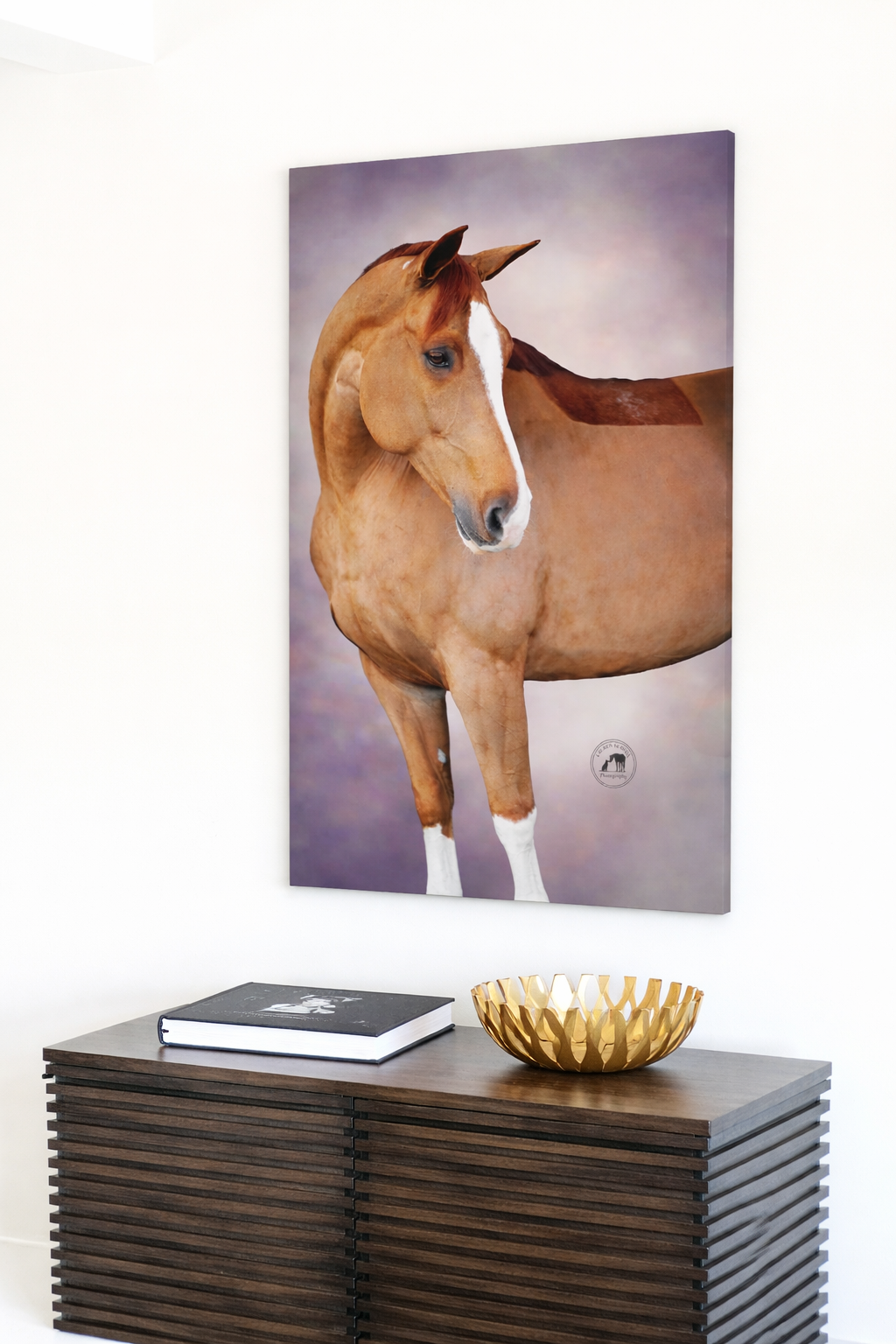 A series of horse portrait photographs displayed on wooden wall shelves with decorative objects and books.