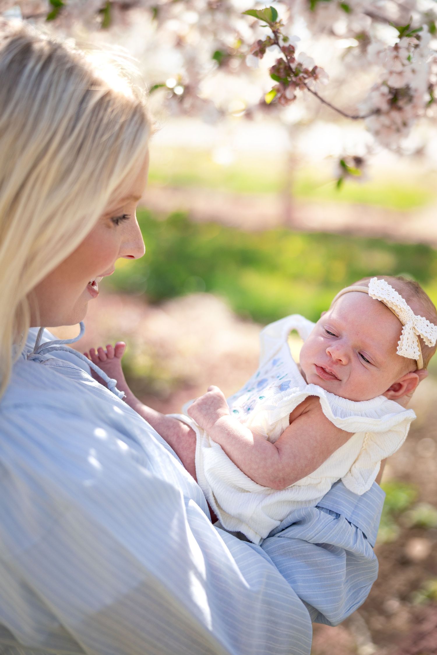 Baby in white outfit nestled against parent under blooming cherry trees.