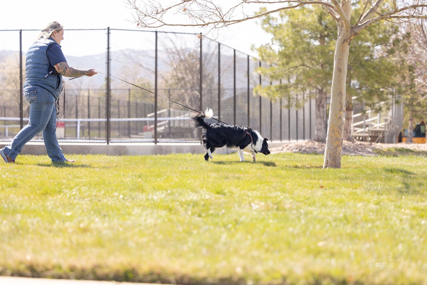 Dogs training with handlers on a grassy outdoor field.