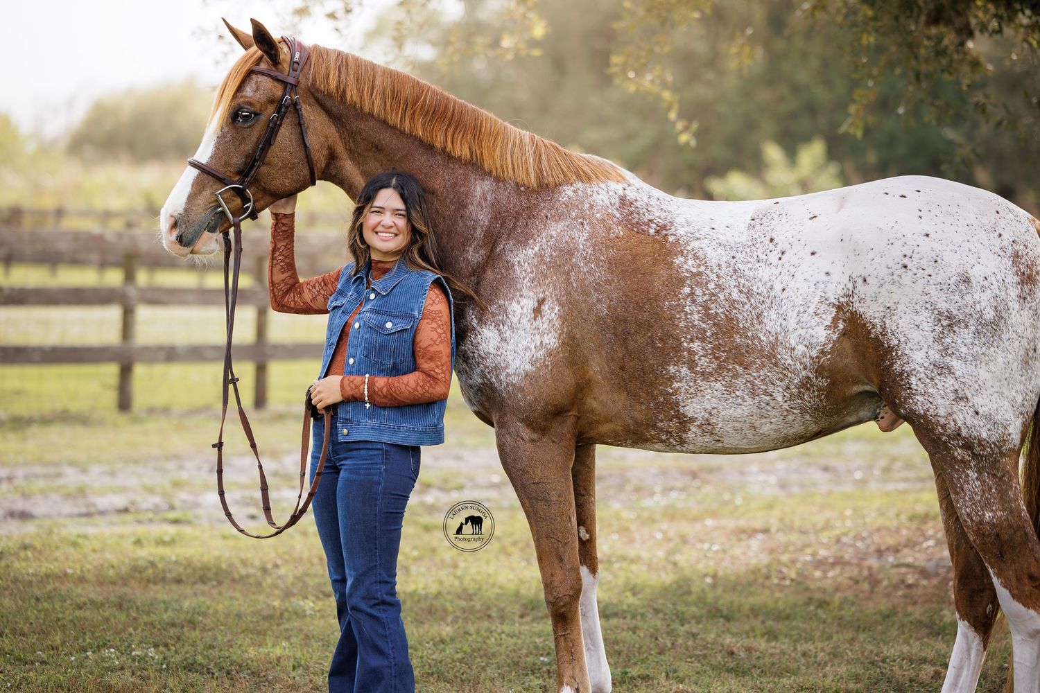 A spotted horse stands in an autumn field with wooden fencing in the background.
