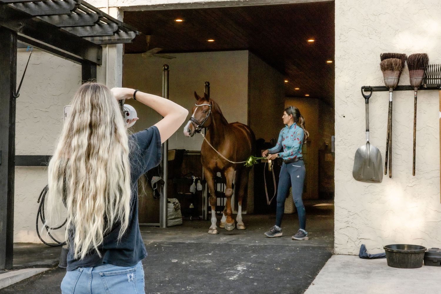 Interior view of a horse stable with white walls and concrete flooring.
