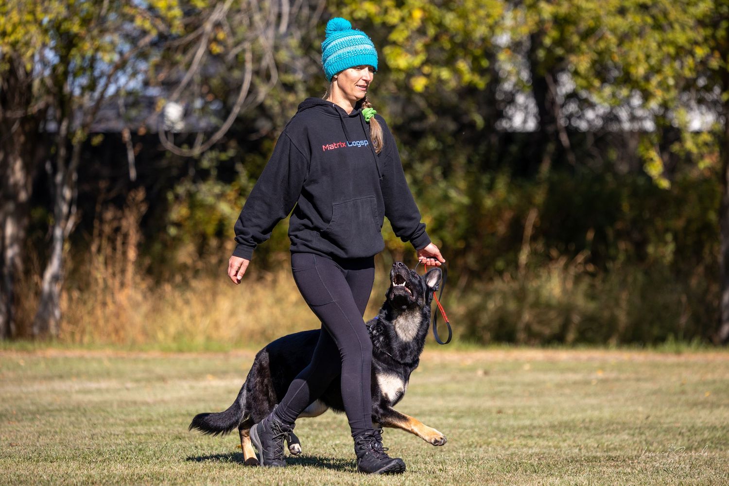 Working dog and handler practicing heel work in autumn field setting.