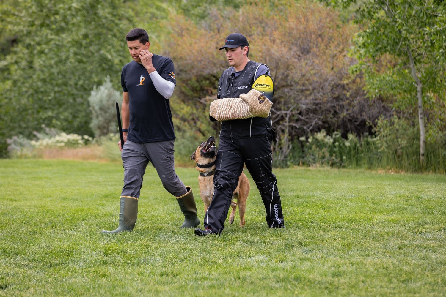 K9 officers conduct training exercises with police dogs in a park setting.