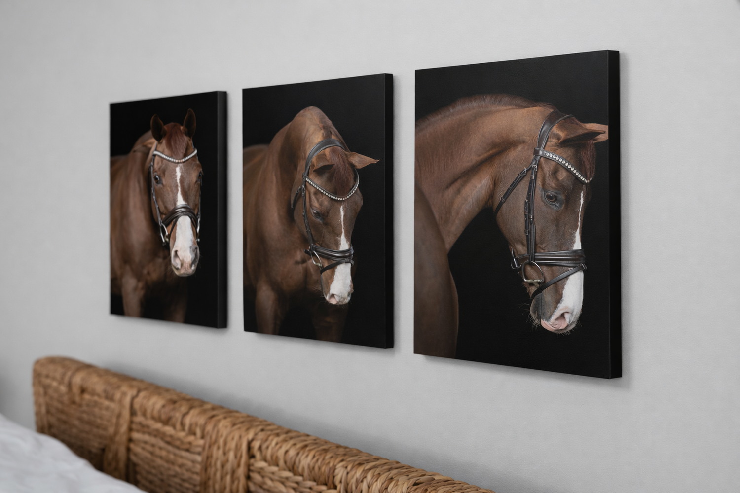 A series of black and white horse portraits arranged in a gallery wall display against a light gray background.