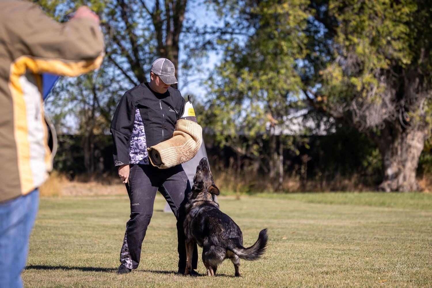 Dog demonstrating obedience skills with trainer in outdoor training facility.