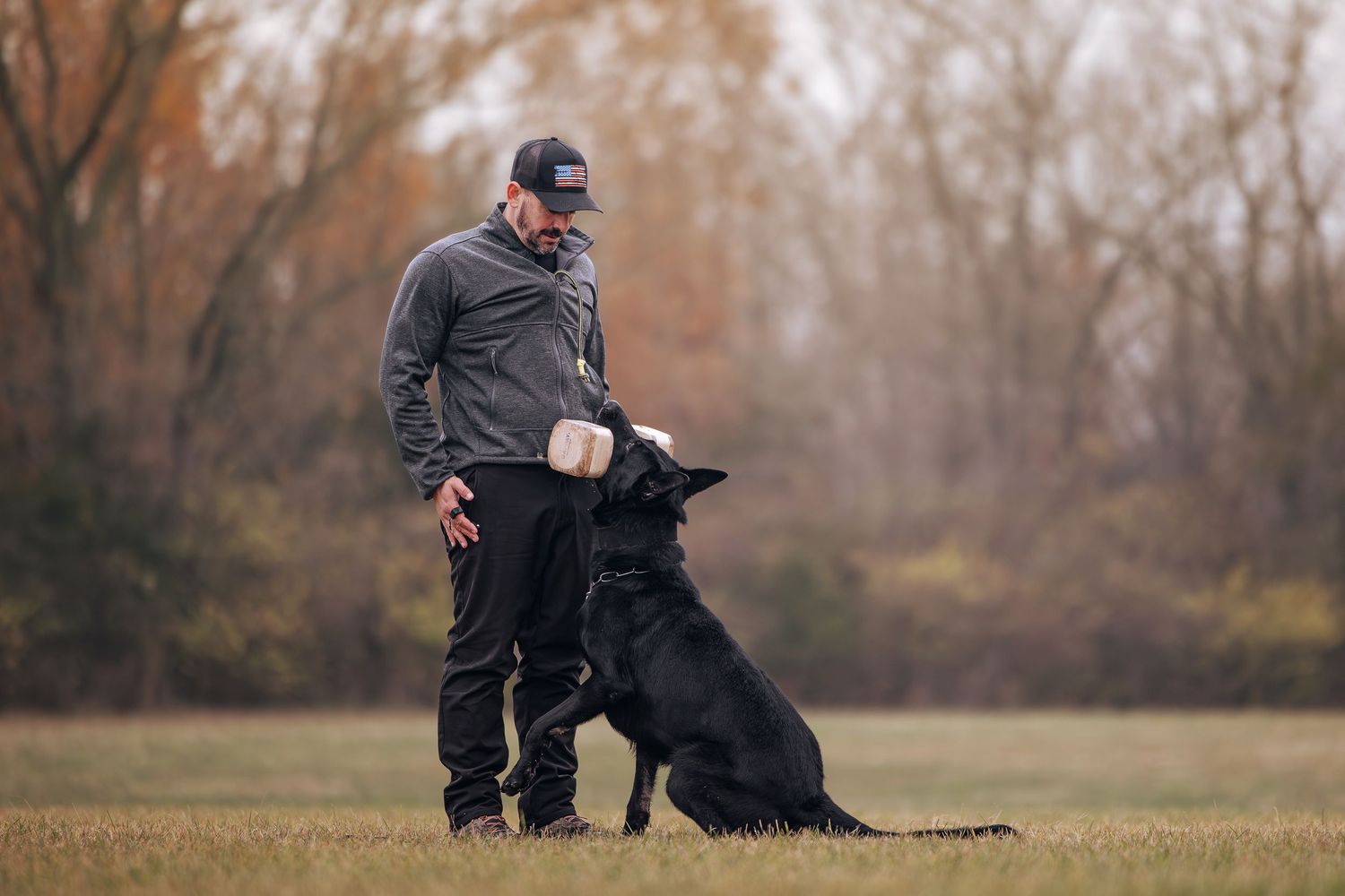 A black dog practices focused attention commands during outdoor training.