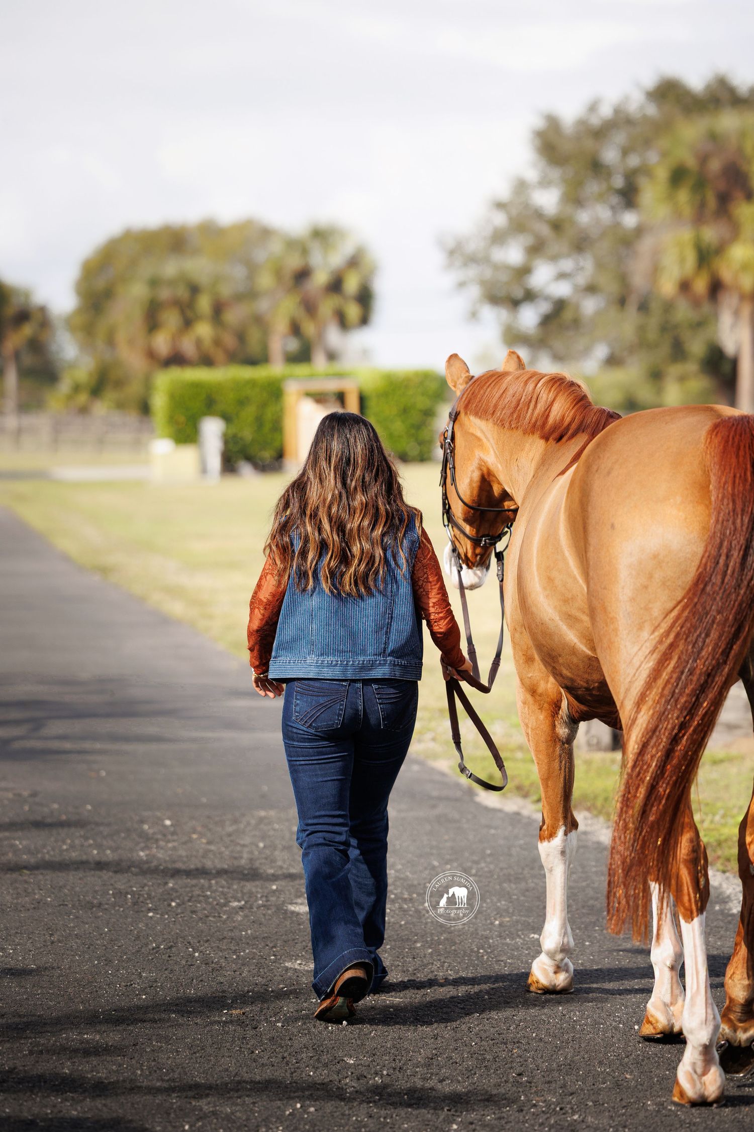 Woman in a denim vest and jeans walks a chestnut horse with white socks down a paved path lined with palm trees and hedges.