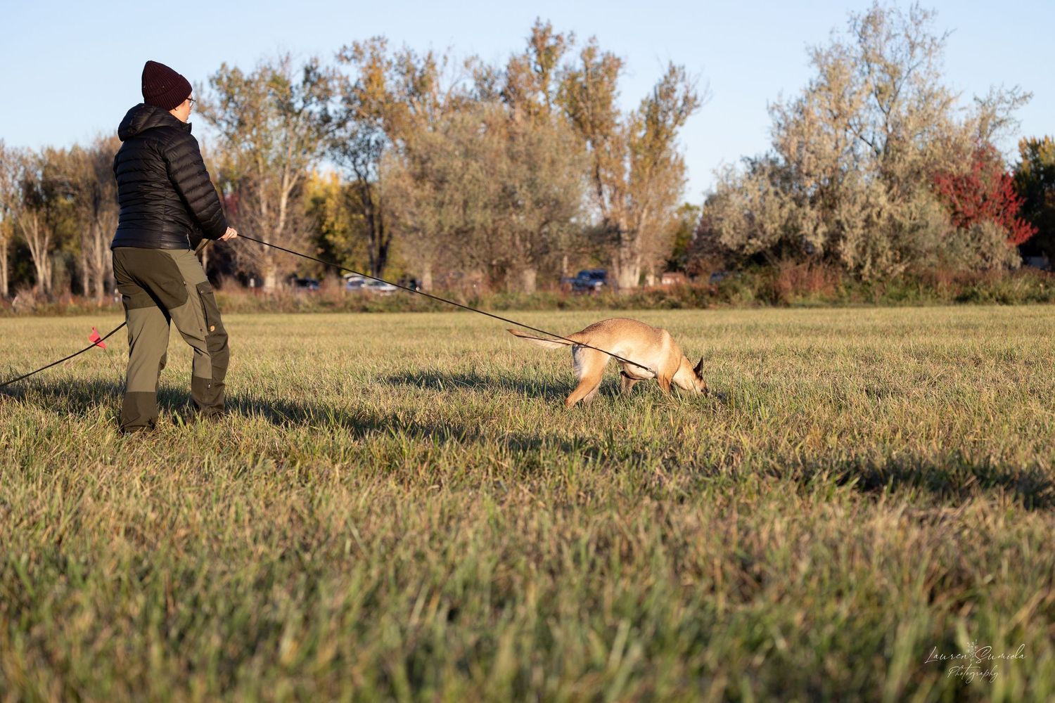 Dog and handler practicing training exercises in a grassy field.