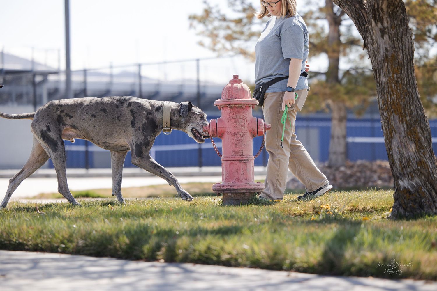 Dog and owner walking past a red fire hydrant in a grassy area.