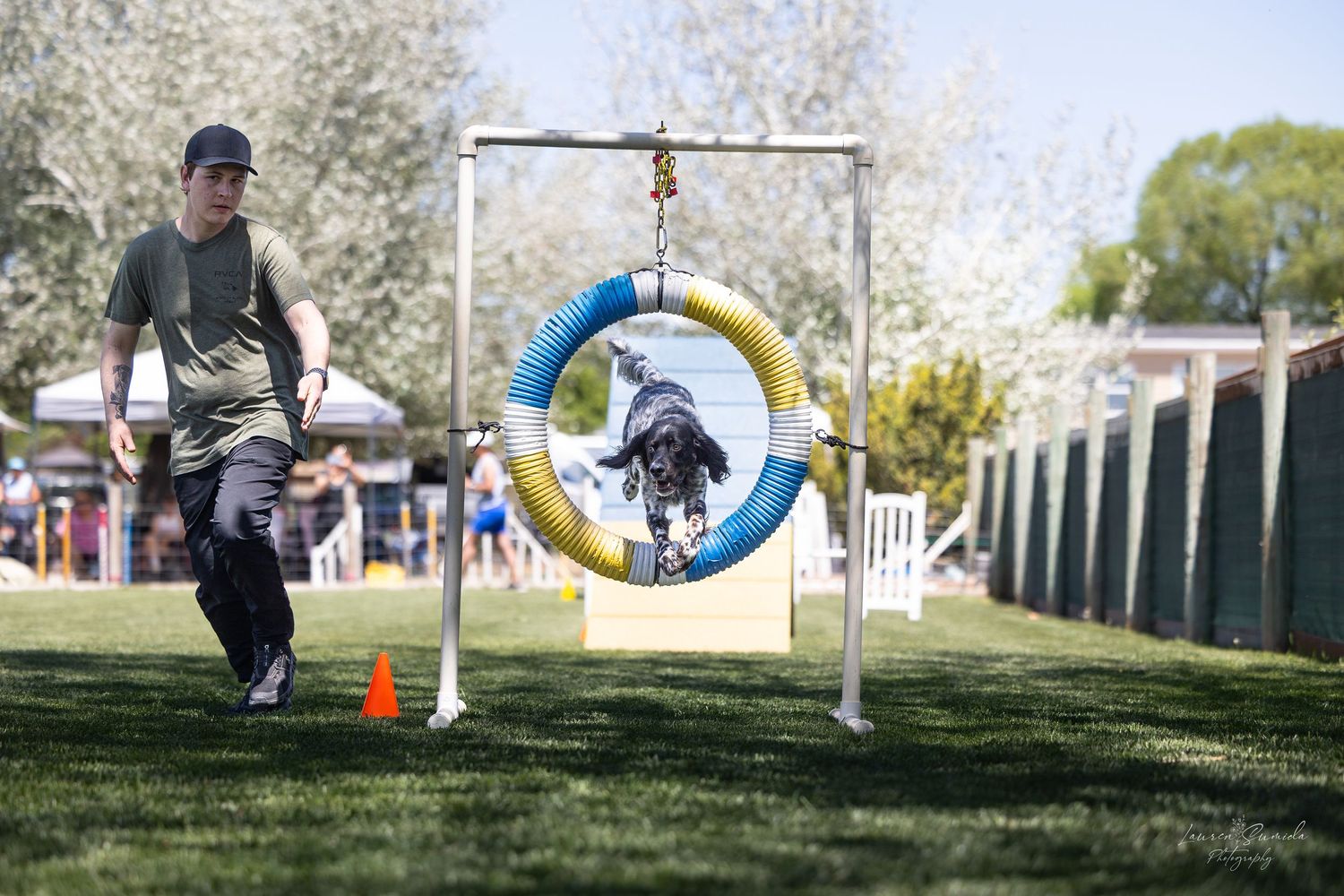 Dog agility competition course with tire jump and various obstacles set up outdoors.