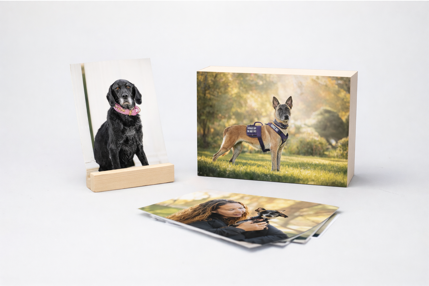A collection of photo prints featuring dogs displayed in various frames and formats on a light background.