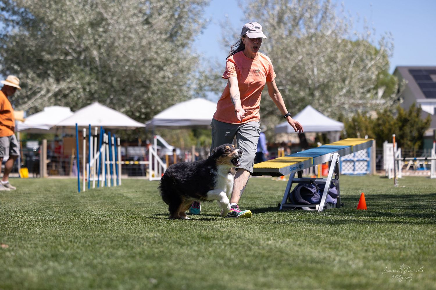 Wide view of dog agility competition field with equipment and tents.