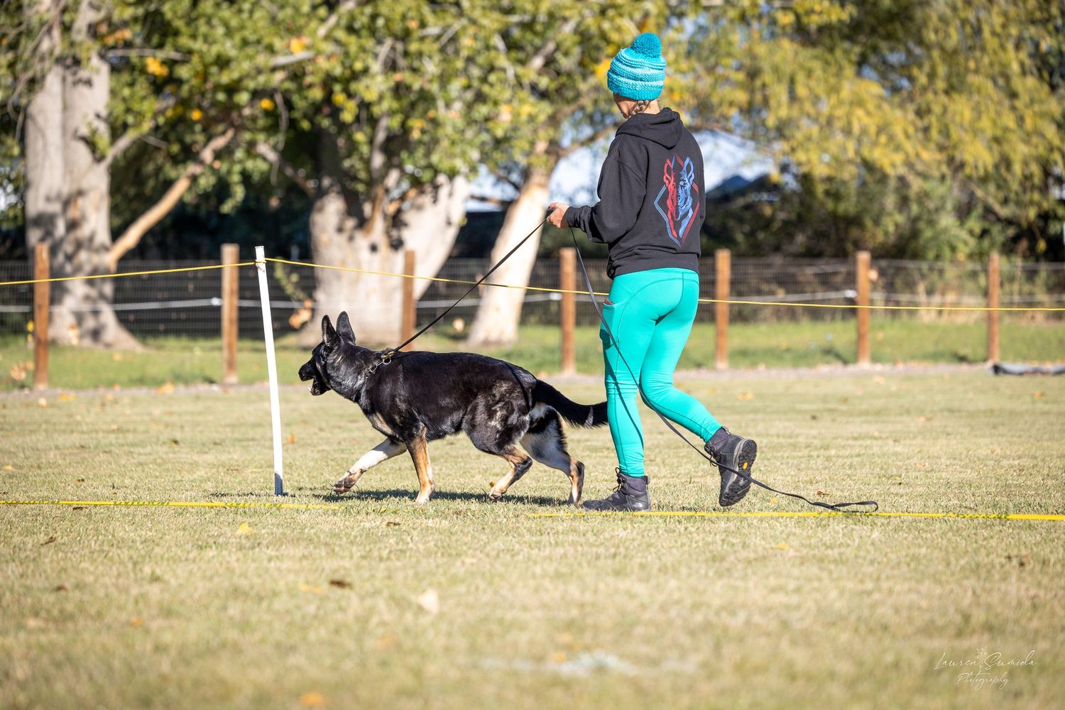 Dog and trainer working together on an agility course in a grassy field with autumn trees.