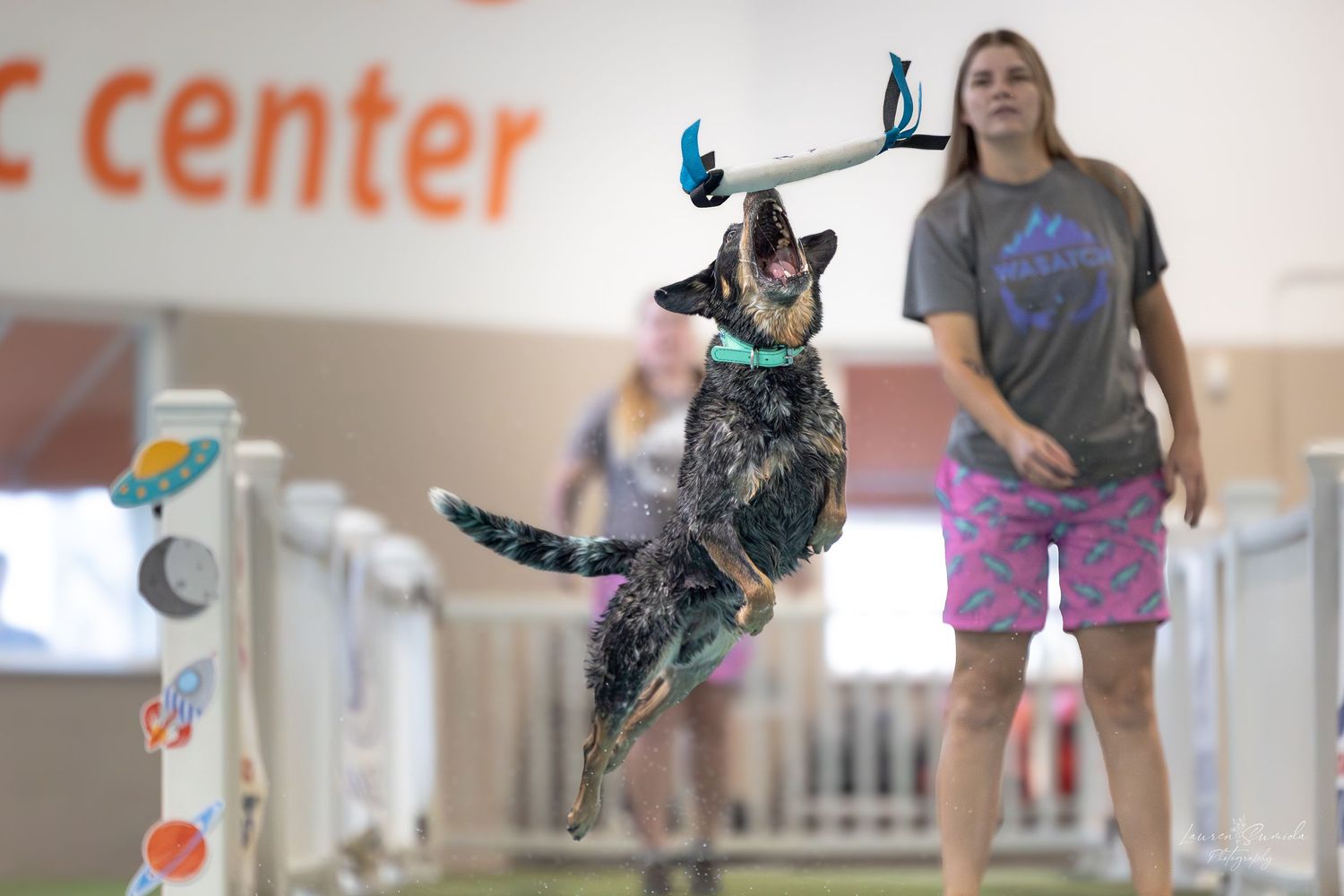 A black dog leaps through the air performing agility exercises at an indoor training center.