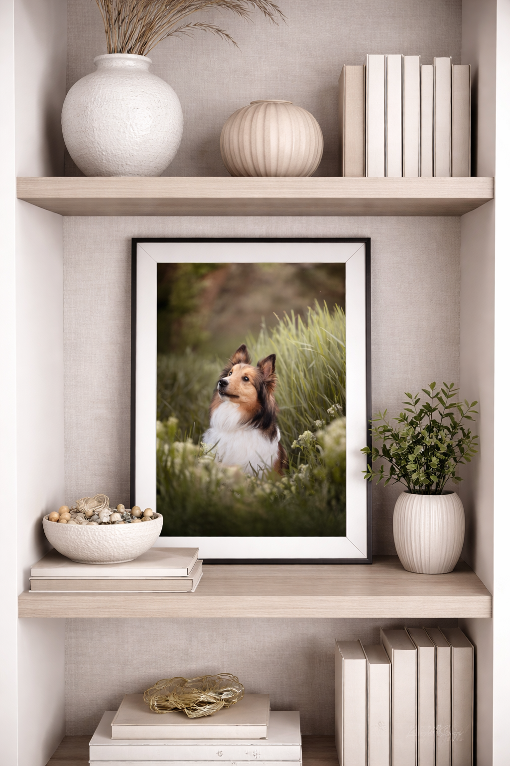 Framed portrait of a Sheltie dog displayed on minimalist white shelving with decorative items.
